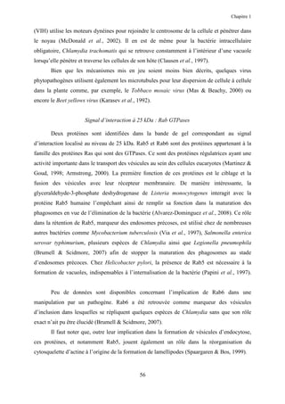 Chapitre 1


(VIH) utilise les moteurs dynéines pour rejoindre le centrosome de la cellule et pénétrer dans
le noyau (McDonald et al., 2002). Il en est de même pour la bactérie intracellulaire
obligatoire, Chlamydia trachomatis qui se retrouve constamment à l’intérieur d’une vacuole
lorsqu’elle pénètre et traverse les cellules de son hôte (Clausen et al., 1997).
       Bien que les mécanismes mis en jeu soient moins bien décrits, quelques virus
phytopathogènes utilisent également les microtubules pour leur dispersion de cellule à cellule
dans la plante comme, par exemple, le Tobbaco mosaic virus (Mas & Beachy, 2000) ou
encore le Beet yellows virus (Karasev et al., 1992).


                       Signal d’interaction à 25 kDa : Rab GTPases

       Deux protéines sont identifiées dans la bande de gel correspondant au signal
d’interaction localisé au niveau de 25 kDa. Rab5 et Rab6 sont des protéines appartenant à la
famille des protéines Ras qui sont des GTPases. Ce sont des protéines régulatrices ayant une
activité importante dans le transport des vésicules au sein des cellules eucaryotes (Martinez &
Goud, 1998; Armstrong, 2000). La première fonction de ces protéines est le ciblage et la
fusion des vésicules avec leur récepteur membranaire. De manière intéressante, la
glyceraldehyde-3-phosphate deshydrogenase de Listeria monocytogenes interagit avec la
protéine Rab5 humaine l’empêchant ainsi de remplir sa fonction dans la maturation des
phagosomes en vue de l’élimination de la bactérie (Alvarez-Dominguez et al., 2008). Ce rôle
dans la rétention de Rab5, marqueur des endosomes précoses, est utilisé chez de nombreuses
autres bactéries comme Mycobacterium tuberculosis (Via et al., 1997), Salmonella enterica
serovar typhimurium, plusieurs espèces de Chlamydia ainsi que Legionella pneumophila
(Brumell & Scidmore, 2007) afin de stopper la maturation des phagosomes au stade
d’endosomes précoces. Chez Helicobacter pylori, la présence de Rab5 est nécessaire à la
formation de vacuoles, indispensables à l’internalisation de la bactérie (Papini et al., 1997).


       Peu de données sont disponibles concernant l’implication de Rab6 dans une
manipulation par un pathogène. Rab6 a été retrouvée comme marqueur des vésicules
d’inclusion dans lesquelles se répliquent quelques espèces de Chlamydia sans que son rôle
exact n’ait pu être élucidé (Brumell & Scidmore, 2007).
       Il faut noter que, outre leur implication dans la formation de vésicules d’endocytose,
ces protéines, et notamment Rab5, jouent également un rôle dans la réorganisation du
cytosquelette d’actine à l’origine de la formation de lamellipodes (Spaargaren & Bos, 1999).


                                                56
 