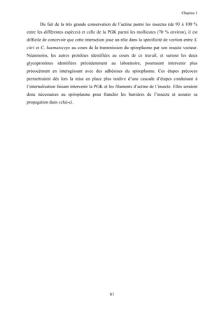 Chapitre 1


       Du fait de la très grande conservation de l’actine parmi les insectes (de 93 à 100 %
entre les différentes espèces) et celle de la PGK parmi les mollicutes (70 % environ), il est
difficile de concevoir que cette interaction joue un rôle dans la spécificité de vection entre S.
citri et C. haematoceps au cours de la transmission du spiroplasme par son insecte vecteur.
Néanmoins, les autres protéines identifiées au cours de ce travail, et surtout les deux
glycoprotéines identifiées précédemment au laboratoire, pourraient intervenir plus
précocément en interagissant avec des adhésines du spiroplasme. Ces étapes précoces
permettraient dès lors la mise en place plus tardive d’une cascade d’étapes conduisant à
l’internalisation faisant intervenir la PGK et les filaments d’actine de l’insecte. Elles seraient
donc nécessaires au spiroplasme pour franchir les barrières de l’insecte et assurer sa
propagation dans celui-ci.




                                               61
 