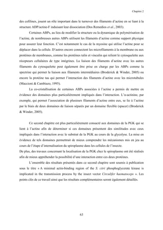 Chapitre 2


des cofilines, jouent un rôle important dans le turnover des filaments d’actine en se liant à la
structure ADP/actine-F induisant leur dissociation (Dos Remedios et al., 2003).
       Certaines ABPs, au lieu de modifier la structure ou la dynamique de polymérisation de
l’actine, de nombreuses autres ABPs utilisent les filaments d’actine comme support physique
pour assurer leur fonction. C’est notamment le cas de la myosine qui utilise l’actine pour se
déplacer dans la cellule. D’autres encore connectent les microfilaments à la membrane ou aux
protéines de membranes, comme les protéines talin et vinculin qui relient le cytosquelette aux
récepteurs cellulaires de type intégrines. La liaison des filaments d’actine avec les autres
filaments du cytosquelette peut également être prise en charge par les ABPs comme la
spectrine qui permet la liaison aux filaments intermédiaires (Broderick & Winder, 2005) ou
encore la protéine tau qui permet l’interaction des filaments d’actine avec les microtubules
(Maccioni & Cambiazo, 1995).
       La co-cristallisation de certaines ABPs associées à l’actine a permis de mettre en
évidence des domaines plus particulièrement impliqués dans l’interaction. L’α-actinine, par
exemple, qui permet l’association de plusieurs filaments d’actine entre eux, se lie à l’actine
par le biais de deux domaines de liaison séparés par un domaine flexible (spacer) (Broderick
& Winder, 2005).


       Ce second chapitre est plus particulièrement consacré aux domaines de la PGK qui se
lient à l’actine afin de déterminer si ces domaines présentent des similitudes avec ceux
impliqués dans l’interaction avec le substrat de la PGK au cours de la glycolyse. La mise en
évidence de tels domaines permettrait de mieux comprendre les mécanismes mis en jeu au
cours de l’étape d’internalisation du spiroplasme dans les cellules de l’insecte.
De plus, des travaux concernant la localisation de la PGK chez le spiroplasme ont été réalisés
afin de mieux appréhender la possibilité d’une interaction entre ces deux protéines.
       L’ensemble des résultats présentés dans ce second chapitre sont soumis à publication
sous le titre « A minimal actin-binding region of the S. citri phosphoglycerate kinase is
implicated in the transmission process by the insect vector Circulifer haematoceps ». Les
points clés de ce travail ainsi que les résultats complémentaires seront également détaillés.




                                               63
 