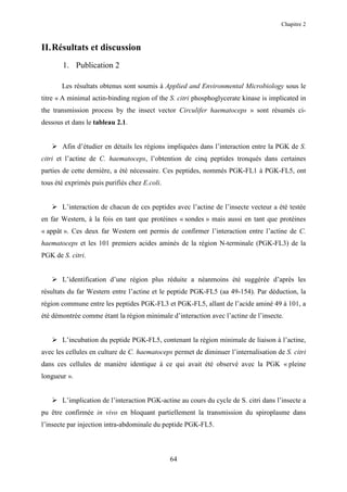 Chapitre 2



II. Résultats et discussion
       1. Publication 2

       Les résultats obtenus sont soumis à Applied and Environmental Microbiology sous le
titre « A minimal actin-binding region of the S. citri phosphoglycerate kinase is implicated in
the transmission process by the insect vector Circulifer haematoceps » sont résumés ci-
dessous et dans le tableau 2.1.


       Afin d’étudier en détails les régions impliquées dans l’interaction entre la PGK de S.
citri et l’actine de C. haematoceps, l’obtention de cinq peptides tronqués dans certaines
parties de cette dernière, a été nécessaire. Ces peptides, nommés PGK-FL1 à PGK-FL5, ont
tous été exprimés puis purifiés chez E.coli.


       L’interaction de chacun de ces peptides avec l’actine de l’insecte vecteur a été testée
en far Western, à la fois en tant que protéines « sondes » mais aussi en tant que protéines
« appât ». Ces deux far Western ont permis de confirmer l’interaction entre l’actine de C.
haematoceps et les 101 premiers acides aminés de la région N-terminale (PGK-FL3) de la
PGK de S. citri.


       L’identification d’une région plus réduite a néanmoins été suggérée d’après les
résultats du far Western entre l’actine et le peptide PGK-FL5 (aa 49-154). Par déduction, la
région commune entre les peptides PGK-FL3 et PGK-FL5, allant de l’acide aminé 49 à 101, a
été démontrée comme étant la région minimale d’interaction avec l’actine de l’insecte.


       L’incubation du peptide PGK-FL5, contenant la région minimale de liaison à l’actine,
avec les cellules en culture de C. haematoceps permet de diminuer l’internalisation de S. citri
dans ces cellules de manière identique à ce qui avait été observé avec la PGK « pleine
longueur ».


       L’implication de l’interaction PGK-actine au cours du cycle de S. citri dans l’insecte a
pu être confirmée in vivo en bloquant partiellement la transmission du spiroplasme dans
l’insecte par injection intra-abdominale du peptide PGK-FL5.



                                               64
 
