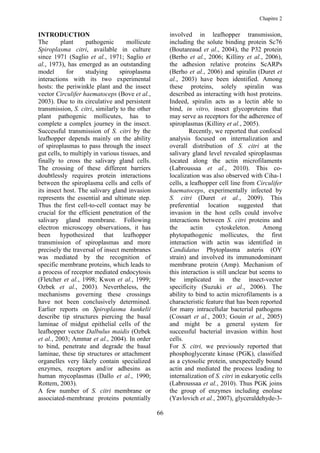 Chapitre 2


INTRODUCTION                                          involved in leafhopper transmission,
The       plant     pathogenic       mollicute        including the solute binding protein Sc76
Spiroplasma citri, available in culture               (Boutareaud et al., 2004), the P32 protein
since 1971 (Saglio et al., 1971; Saglio et            (Berho et al., 2006; Killiny et al., 2006),
al., 1973), has emerged as an outstanding             the adhesion relative proteins ScARPs
model       for     studying     spiroplasma          (Berho et al., 2006) and spiralin (Duret et
interactions with its two experimental                al., 2003) have been identified. Among
hosts: the periwinkle plant and the insect            these proteins, solely spiralin was
vector Circulifer haematoceps (Bove et al.,           described as interacting with host proteins.
2003). Due to its circulative and persistent          Indeed, spiralin acts as a lectin able to
transmission, S. citri, similarly to the other        bind, in vitro, insect glycoproteins that
plant pathogenic mollicutes, has to                   may serve as receptors for the adherence of
complete a complex journey in the insect.             spiroplasmas (Killiny et al., 2005).
Successful transmission of S. citri by the                    Recently, we reported that confocal
leafhopper depends mainly on the ability              analysis focused on internalization and
of spiroplasmas to pass through the insect            overall distribution of S. citri at the
gut cells, to multiply in various tissues, and        salivary gland level revealed spiroplasmas
finally to cross the salivary gland cells.            located along the actin microfilaments
The crossing of these different barriers              (Labroussaa et al., 2010). This co-
doubtlessly requires protein interactions             localization was also observed with Ciha-1
between the spiroplasma cells and cells of            cells, a leafhopper cell line from Circulifer
its insect host. The salivary gland invasion          haematoceps, experimentally infected by
represents the essential and ultimate step.           S. citri (Duret et al., 2009). This
Thus the first cell-to-cell contact may be            preferential location suggested that
crucial for the efficient penetration of the          invasion in the host cells could involve
salivary gland membrane. Following                    interactions between S. citri proteins and
electron microscopy observations, it has              the      actin     cytoskeleton.       Among
been     hypothesized      that    leafhopper         phytopathogenic mollicutes, the first
transmission of spiroplasmas and more                 interaction with actin was identified in
precisely the traversal of insect membranes           Candidatus Phytoplasma asteris (OY
was mediated by the recognition of                    strain) and involved its immunodominant
specific membrane proteins, which leads to            membrane protein (Amp). Mechanism of
a process of receptor mediated endocytosis            this interaction is still unclear but seems to
(Fletcher et al., 1998; Kwon et al., 1999;            be implicated in the insect-vector
Ozbek et al., 2003). Nevertheless, the                specificity (Suzuki et al., 2006). The
mechanisms governing these crossings                  ability to bind to actin microfilaments is a
have not been conclusively determined.                characteristic feature that has been reported
Earlier reports on Spiroplasma kunkelii               for many intracellular bacterial pathogens
describe tip structures piercing the basal            (Cossart et al., 2003; Gouin et al., 2005)
laminae of midgut epithelial cells of the             and might be a general system for
leafhopper vector Dalbulus maidis (Ozbek              successful bacterial invasion within host
et al., 2003; Ammar et al., 2004). In order           cells.
to bind, penetrate and degrade the basal              For S. citri, we previously reported that
laminae, these tip structures or attachment           phosphoglycerate kinase (PGK), classified
organelles very likely contain specialized            as a cytosolic protein, unexpectedly bound
enzymes, receptors and/or adhesins as                 actin and mediated the process leading to
human mycoplasmas (Dallo et al., 1990;                internalization of S. citri in eukaryotic cells
Rottem, 2003).                                        (Labroussaa et al., 2010). Thus PGK joins
A few number of S. citri membrane or                  the group of enzymes including enolase
associated-membrane proteins potentially              (Yavlovich et al., 2007), glyceraldehyde-3-

                                                 66
 
