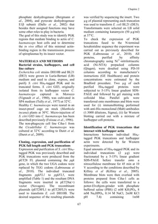 Chapitre 2


phosphate deshydrogenase (Bergmann et                was verified by sequencing the insert. Two
al., 2004), and pyruvate deshydrogenase              µg of plasmid representing each truncation
E1β subunit (Dallo et al., 2002) that                was used to transform E. coli BL21 (DE3).
besides their assigned functions may have            Transformants were selected on LB solid
some other roles to play in bacteria.                medium containing kanamycin (50 µg/ml)
The goal of this study was to identify PGK           at 37°C.
regions that mediate binding to actin of C.          To check the expression of PGK
haematoceps host cells and to determine              truncations fused to the N-terminal
the in vivo effect of this minimal actin-            hexahistidine sequence the experiment was
binding region in the transmission process           carried out as previously described for
of spiroplasmas by its insect vector.                PGK (Labroussaa et al., 2010). All
                                                     proteins,      purified    by       affinity
                                                                               2+
MATERIALS AND METHODS                                chromatography using Ni -nitrilotriacetic
Bacterial strains, leafhoppers, and cell             acid (Ni-NTA) prepacked columns
line culture                                         (Qiagen), were desalted using PD-10
Escherichia coli strains DH10B and BL21              columns according to manufacturer’s
(DE3) were grown in Luria-Bertani (LB)               instructions (GE Healthcare) and protein
medium and used to clone, express, and               concentrations were estimated by the
purify S. citri His6-tagged PGK and its              Bradford procedure. Two µg of each
truncated forms. S. citri GII3, originally           purified His6-tagged proteins were
isolated from its leafhopper vector C.               subjected to 5-15% linear gradient SDS-
haematoceps captured in Morocco                      PAGE and followed by gel staining with
(Vignault et al., 1980), was cultivated in           colloidal blue. Parallel gels were
SP4 medium (Tully et al., 1977) at 32°C.             transferred onto membranes and blots were
Healthy C. haematoceps were reared in an             used for (i) immunoblotting performed
insect-proof cage on stock (Matthiola                with anti-His monoclonal (Mab) antibodies
incana) plants at 30°C. Micro-injection of           (1:3000 dilutions, Sigma), (ii) far Western
S. citri GII3 into C. haematoceps has been           blotting carried out with a mixture of
described previously (Foissac et al., 1996).         leafhopper cell proteins.
The non-phagocyte cell line Ciha-1 from
the Cicadellidae C. haematoceps was                  Identification of PGK truncations that
cultured at 32°C according to Duret et al.           interact with leafhopper actin
(Duret et al., 2009).                                Interactions between individual His6-
                                                     tagged PGK truncations and leafhopper
Cloning, expression, and purification of             actin were detected by far Western
PGK full length and PGK truncations                  experiments.
Expression and purification of S. citri His6-        Equal amounts of His6-tagged PGK and its
tagged PGK was previously described and              individual truncations (2 µg) were
PGK truncations were produced from the               fractionated by a 5-15% linear gradient
pET28 FL plasmid containing the pgk                  SDS-PAGE before transfer onto a
gene, in which the two UGA codons were               nitrocellulose membrane for 45 min at 10
replaced by TGG codons (Labroussaa et                V according to the conditions described by
al., 2010). The individual truncated                 Killiny et al (Killiny et al., 2005).
fragments pgkFL1 to pgkFL5, were                     Membrane blots were then overlaid with
amplified (Table 1) and the resultant DNA            proteins prepared from Ciha-1 cells as
fragments were inserted in pET28a(+)                 follows: the cells were transferred to a
vector (Novagen). The recombinant                    potter-Elvehjem-grinder with phosphate
plasmids (pET28FL1 to pET28FL5) were                 buffered saline (PBS) (2 mM KH2PO4, 8
used to transform E. coli DH10B. The                 mM Na2HPO4, 0.14 M NaCl, 2mM KCl
desired sequence of the resulting plasmids           pH        7.4)      containing       1mM

                                                67
 