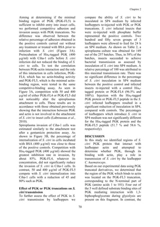 Chapitre 2


Aiming at determining if the minimal                   compare the ability of S. citri to be
binding region of PGK (PGK-FL5) is                     inoculated in SP4 medium by infected
sufficient to inhibit entry into insect cells,         leafhoppers re-injected with PGK or PGK
we performed competitive adhesion and                  truncations. S. citri infected insects that
invasion assays with PGK truncations. No               were re-injected with phosphate buffer
difference was observed between the                    represented the positive controls. Two
relative percentage of adhesion obtained in            hundred and fifty seven groups of 3
the positive controls carried out without              leafhoppers were allowed to feed for 24 h
any treatment or treated with BSA prior to             on SP4 medium. As shown on Table 2, a
infection with S. citri (Figure 3A).                   spiroplasma culture was obtained for 149
Preincubation of His6-tagged PGK (400                  out of the 257 batches. Thus, in 58% of the
µg/ml) with Ciha-1 cells before S. citri               batches, insects succeeded to achieve
infection did not reduced the binding of S.            bacterial transmission as assessed by
citri to cells. To test the correlation                inoculation of S. citri into SP4 medium. A
between PGK-actin interaction and the role             relative percentage of 100 was attributed to
of this interaction in cells infection, PGK-           this maximal transmission rate. There was
FL4, which has no actin-binding activity               no significant difference in the percentage
and PGK-FL5, which is the minimal actin-               of S. citri inoculation in SP4 medium
binding region, were tested in the same                between the positive control and infected
competitive-binding assay. As seen in                  insects re-injected with a control His6-
Figure 3A, competition with 50 and 400                 tagged protein or PGK-FL4 (96.5% and
µg/ml of either PGK-FL4 or PGK-FL5 did                 100%). Injection with the His6-tagged
not noticeably alter the spiroplasmas                  PGK protein or PGK-FL5 peptide in the S.
attachment to cells. These results are in              citri infected leafhoppers resulted in a
accordance with those obtained previously              significant reduction of inoculation in SP4,
showing that the interaction between PGK               compared with controls. The percentages
and actin is not involved in the attachment            of leafhoppers which introduce S. citri in
of S. citri to insect cells (Labroussaa et al.,        SP4 medium was not significantly different
2010).                                                 for the His6-tagged PGK protein and the
Spiroplasma invasion of Ciha-1 cells was               PGK-FL5 peptide (51.7 % and 58.6 %,
estimated similarly to the attachment test             respectively).
after a gentamicin protection assay. As
shown in Figure 3B, the percentage of                  DISCUSSION
internalization of S. citri in cells incubated         In this study we identified regions of S.
with BSA (400 µg/ml) was close to those                citri PGK protein that interact with
of the positive controls. Competition with             leafhopper actin and attempted to
His6-tagged PGK (400 µg/ml) showed the                 determine whether PGK, through its
greatest inhibition rate in invasion, by               binding with actin, play a role in
about 85%. PGK-FL4, whatever its                       transmission of S. citri by the leafhopper
concentration, did not significantly reduce            C. haematoceps.
the invasion of S. citri in Ciha-1 cells. In           Based on our experimental data using PGK
contrast, 50 and 400 µg/ml of PGK-FL5                  truncated derivatives, we determined that
compete with S. citri internalization into             the region of the PGK which binds to actin
Ciha-1 cells with a reduction of 45 and                was located on the PGK-FL3 truncation,
80% such as PGK.                                       corresponding to the N-terminal part of
                                                       PGK (amino acids 1 to 101). Four out of
Effect of PGK or PGK truncations on S.                 the 5 well defined substrate binding sites of
citri transmission                                     PGK mediating interaction with 1,3-
To further assess the effect of PGK in S.              biphosphoglycerate during glycolysis are
citri transmission by leafhoppers we                   present on this fragment. In contrast, the

                                                  70
 