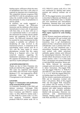 Chapitre 2


binding region, sufficient to block the entry        412). PGK-FL5 (amino acids 49 to 154)
of spiroplasmas into Ciha-1 cells, plays as          was constructed by deleting both amino
expected an important role in transmission.          terminal and carboxyl terminal end of
The competition between exogenous PGK                PGK.
and PGK-FL5 with the spiroplasmas could              (B) All His6-tagged proteins were purified
reduce the available number of target sites          as described in Materials and Methods, and
that participate in entry of spiroplasmas in         submitted to SDS-PAGE (lane 1). Parallel
salivary glands.                                     gels were transferred onto nitrocellulose
In summary, our results suggested a                  membranes. Saturated blots were probed
correlation between the PGK-actin                    with anti-His monoclonal antibodies (lane
interaction and the inhibitory effect during         2).
internalization in insect cells. In agreement
with these data, as we show with our in              Figure 2: Determination of the minimal
vivo experimental model, S. citri could use          PGK region required for actin binding
this interaction for crossing salivary glands        activity
barrier and completing its life cycle in             (A) Far Western experiment performed on
insects. The PGK-actin interaction might             Ciha-1 cell proteins (20 µg) overlaid with
be essential for insect transmission but this        His6-tagged PGK and His6-tagged PGK
complex is probably not sufficient for               truncations. Lane 1, gel electrophoresis
deciphering all steps involved in the                pattern of Ciha-1 cell proteins stained with
transmission process. A comparison of the            colloidal blue. Lane 2, proteins from Ciha-
actin-binding region (amino acid 49 to               1 cells (20 µg) were transferred onto a
101) with the same region in various                 nitrocellulose membrane. Saturated blots
phytoplasmas revealed that this region               were probed with rabbit polyclonal
belong to a fragment with a less well                antibodies against chicken actin followed
conserved sequence suggesting the                    by immunological detection. The band at
fundamental importance that could have               42 kDa reflects the presence of actin in the
this sequence for determining insect vector          protein mixture. Lanes 3 to 8, blots from
specificity in plant pathogenic mollicutes.          Ciha-1 cell proteins were probed with PGK
                                                     or individual PGK truncations. Mouse anti-
ACKNOWLEDGEMENTS                                     His MAbs followed by peroxidase
Thanks are due to Claire Charenton who               conjugate goat anti-mouse IgGs were used
kindly provided the His6-tagged MSC_618.             to detect interactions. His6-tagged PGK
This work was supported with funding                 and His6-tagged PGK-FL1 to PGK-FL3
from INRA and Université Victor Ségalen              and PGK-FL5 were bound to actin (lanes
Bordeaux 2. F.L. was supported by a Ph.D.            3, 4, 5, 6, 8). With His6-tagged PGK-FL4,
fellowship from the Ministère de                     no binding signal was observed (lane 7).
l’Enseignement et de la Recherche.                   (B) Far-western experiments performed on
                                                     PGK and its truncations overlaid with
LEGENDS                                              Ciha-1 cell proteins. Blots of His6-tagged
Figure 1: Construction and purification              PGK and His6-tagged PGK truncations
of the truncated PGK proteins                        were probed with the mixture of Ciha-1
(A) Schematic illustration of the PGK and            cell proteins containing actin. Binding was
deletion constructs. Full-length PGK                 detected with rabbit antiactin antibodies
protein (amino acids 1 to 412) was deleted           followed by goat anti-rabbit antibodies
from C-terminus and PGK-FL1 (amino                   labelled with peroxydase. Detection was
acids 1 to 302), PGK-FL2 (amino acids 1              performed       with    chemioluminescent
to 205), PGK-FL3 (amino acids 1 to 101),             substrate. Binding signals were observed
were produced. N-terminal deletion                   with PGK and PGK-FL1 to PGK-FL3 and
produced PGK-FL4 (amino acids 101 to

                                                72
 