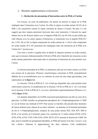Chapitre 2


        2. Résultats supplémentaires et discussion

            2.1. Recherche du mécanisme d’interaction entre la PGK et l’actine

        Les travaux, en cours de publication, ont permis de préciser la région de la PGK
impliquée dans l’interaction avec l’actine. En effet, la région en acides aminés 49-101 de la
PGK a été caractérisée comme la région minimale de liaison à l’actine. De plus, il a été
suggéré que deux régions pourraient intervenir dans cette interaction. L’intensité du signal
obtenu lors du far Western réalisé avec le fragment PGK-FL5 (aa 49-154) est plus faible que
celle obtenue avec les autres signaux d’interaction, et notamment avec le peptide PGK-FL3
(aa 1-101). De ce fait, la région comprenant les acides aminés de 1 à 48 et celle comprenant
les acides aminés 49 à 101 pourraient être impliquées dans une interaction de la PGK avec
l’actine de C. haematoceps.
        Ceci nous a incités à regarder plus en détails la séquence primaire en acides aminés,
ainsi que la structure tridimensionnelle (3-D) de la PGK afin d’identifier des structures ou des
acides aminés particuliers intervenant dans le mécanisme d’interaction de cette protéine avec
l’actine.


        La fonction principale de la PGK, ou néanmoins celle qui est la plus connue, est d’être
une enzyme de la glycolyse. Plusieurs caractéristiques concernant la PGK, principalement
déduites de sa co-cristallisation avec ses substrats au cours de cette étape glycolytique, sont
représentées sur la figure 2.2.
        La structure 3-D de la PGK de S. citri n’était pas disponible mais cette protéine étant
relativement conservée, la modélisation de la structure 3-D de la PGK de S. citri s’est basée
sur la structure 3-D de la PGK de S. cerevisiae, déterminée expérimentalement (Watson et al.,
1982) (figure 2.3A).
        Les données disponibles sur la PGK concernent principalement son rôle au cours de la
glycolyse. La PGK transfère un groupement phosphoryl du 1,3-biphosphoglycérate à l’ADP
en vue de former une molécule d’ATP. Pour assurer ce transfert, elle possède deux domaines
de liaison distincts pour chacun de ses deux substrats : un domaine en N-terminal permettant
de lier le 1,3-biphosphoglycérate, composé de cinq acides aminés D22, N24, R37, H60 et
R120, et un second, en C-terminal, quant à lui, constitué de 11 acides aminés (G242, G310,
N334, P336, G338, V339, F340, E341, G369, D370, S371) assurant la fixation de l’ADP. De
plus, pour le transfert du groupement phosphate, la PGK doit passer d’un état « ouvert » à un
état « fermé » induisant le rapprochement des deux substrats. Cette modification
                                       74
 