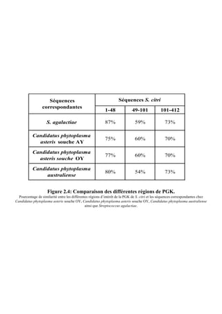 Séquences                                       Séquences S. citri
                 correspondantes
                                                           1-48              49-101             101-412

                    S. agalactiae                          87%                 59%                 73%

           Candidatus phytoplasma
                                                           75%                 60%                 70%
             asteris souche AY

           Candidatus phytoplasma
                                                           77%                 60%                 70%
             asteris souche OY

           Candidatus phytoplasma
                                                           80%                 54%                 73%
                australiense


                     Figure 2.4: Comparaison des différentes régions de PGK.
  Pourcentage de similarité entre les différentes régions d’intérêt de la PGK de S. citri et les séquences correspondantes chez
Candidatus phytoplasma asteris souche OY, Candidatus phytoplasma asteris souche OY, Candidatus phytoplasma australiense
                                               ainsi que Streptococcus agalactiae.
 