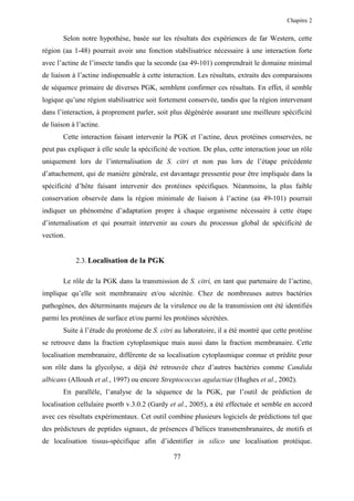 Chapitre 2


        Selon notre hypothèse, basée sur les résultats des expériences de far Western, cette
région (aa 1-48) pourrait avoir une fonction stabilisatrice nécessaire à une interaction forte
avec l’actine de l’insecte tandis que la seconde (aa 49-101) comprendrait le domaine minimal
de liaison à l’actine indispensable à cette interaction. Les résultats, extraits des comparaisons
de séquence primaire de diverses PGK, semblent confirmer ces résultats. En effet, il semble
logique qu’une région stabilisatrice soit fortement conservée, tandis que la région intervenant
dans l’interaction, à proprement parler, soit plus dégénérée assurant une meilleure spécificité
de liaison à l’actine.
        Cette interaction faisant intervenir la PGK et l’actine, deux protéines conservées, ne
peut pas expliquer à elle seule la spécificité de vection. De plus, cette interaction joue un rôle
uniquement lors de l’internalisation de S. citri et non pas lors de l’étape précédente
d’attachement, qui de manière générale, est davantage pressentie pour être impliquée dans la
spécificité d’hôte faisant intervenir des protéines spécifiques. Néanmoins, la plus faible
conservation observée dans la région minimale de liaison à l’actine (aa 49-101) pourrait
indiquer un phénomène d’adaptation propre à chaque organisme nécessaire à cette étape
d’internalisation et qui pourrait intervenir au cours du processus global de spécificité de
vection.


            2.3. Localisation de la PGK

        Le rôle de la PGK dans la transmission de S. citri, en tant que partenaire de l’actine,
implique qu’elle soit membranaire et/ou sécrétée. Chez de nombreuses autres bactéries
pathogènes, des déterminants majeurs de la virulence ou de la transmission ont été identifiés
parmi les protéines de surface et/ou parmi les protéines sécrétées.
        Suite à l’étude du protéome de S. citri au laboratoire, il a été montré que cette protéine
se retrouve dans la fraction cytoplasmique mais aussi dans la fraction membranaire. Cette
localisation membranaire, différente de sa localisation cytoplasmique connue et prédite pour
son rôle dans la glycolyse, a déjà été retrouvée chez d’autres bactéries comme Candida
albicans (Alloush et al., 1997) ou encore Streptococcus agalactiae (Hughes et al., 2002).
        En parallèle, l’analyse de la séquence de la PGK, par l’outil de prédiction de
localisation cellulaire psortb v.3.0.2 (Gardy et al., 2005), a été effectuée et semble en accord
avec ces résultats expérimentaux. Cet outil combine plusieurs logiciels de prédictions tel que
des prédicteurs de peptides signaux, de présences d’hélices transmembranaires, de motifs et
de localisation tissus-spécifique afin d’identifier in silico une localisation protéique.

                                               77
 