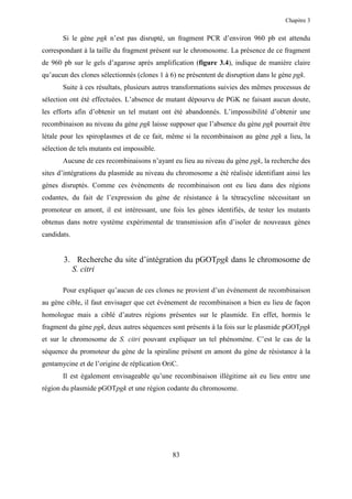 Chapitre 3


       Si le gène pgk n’est pas disrupté, un fragment PCR d’environ 960 pb est attendu
correspondant à la taille du fragment présent sur le chromosome. La présence de ce fragment
de 960 pb sur le gels d’agarose après amplification (figure 3.4), indique de manière claire
qu’aucun des clones sélectionnés (clones 1 à 6) ne présentent de disruption dans le gène pgk.
       Suite à ces résultats, plusieurs autres transformations suivies des mêmes processus de
sélection ont été effectuées. L’absence de mutant dépourvu de PGK ne faisant aucun doute,
les efforts afin d’obtenir un tel mutant ont été abandonnés. L’impossibilité d’obtenir une
recombinaison au niveau du gène pgk laisse supposer que l’absence du gène pgk pourrait être
létale pour les spiroplasmes et de ce fait, même si la recombinaison au gène pgk a lieu, la
sélection de tels mutants est impossible.
       Aucune de ces recombinaisons n’ayant eu lieu au niveau du gène pgk, la recherche des
sites d’intégrations du plasmide au niveau du chromosome a été réalisée identifiant ainsi les
gènes disruptés. Comme ces évènements de recombinaison ont eu lieu dans des régions
codantes, du fait de l’expression du gène de résistance à la tétracycline nécessitant un
promoteur en amont, il est intéressant, une fois les gènes identifiés, de tester les mutants
obtenus dans notre système expérimental de transmission afin d’isoler de nouveaux gènes
candidats.


       3. Recherche du site d’intégration du pGOTpgk dans le chromosome de
         S. citri

       Pour expliquer qu’aucun de ces clones ne provient d’un évènement de recombinaison
au gène cible, il faut envisager que cet évènement de recombinaison a bien eu lieu de façon
homologue mais a ciblé d’autres régions présentes sur le plasmide. En effet, hormis le
fragment du gène pgk, deux autres séquences sont présents à la fois sur le plasmide pGOTpgk
et sur le chromosome de S. citri pouvant expliquer un tel phénomène. C’est le cas de la
séquence du promoteur du gène de la spiraline présent en amont du gène de résistance à la
gentamycine et de l’origine de réplication OriC.
       Il est également envisageable qu’une recombinaison illégitime ait eu lieu entre une
région du plasmide pGOTpgk et une région codante du chromosome.




                                              83
 