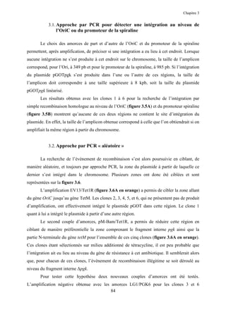Chapitre 3


            3.1. Approche par PCR pour détecter une intégration au niveau de
                l’OriC ou du promoteur de la spiraline

       Le choix des amorces de part et d’autre de l’OriC et du promoteur de la spiraline
permettent, après amplification, de préciser si une intégration a eu lieu à cet endroit. Lorsque
aucune intégration ne s’est produite à cet endroit sur le chromosome, la taille de l’amplicon
correspond, pour l’Ori, à 349 pb et pour le promoteur de la spiraline, à 985 pb. Si l’intégration
du plasmide pGOTpgk s’est produite dans l’une ou l’autre de ces régions, la taille de
l’amplicon doit correspondre à une taille supérieure à 8 kpb, soit la taille du plasmide
pGOTpgk linéarisé.
       Les résultats obtenus avec les clones 1 à 6 pour la recherche de l’intégration par
simple recombinaison homologue au niveau de l’OriC (figure 3.5A) et du promoteur spiraline
(figure 3.5B) montrent qu’aucune de ces deux régions ne contient le site d’intégration du
plasmide. En effet, la taille de l’amplicon obtenue correspond à celle que l’on obtiendrait si on
amplifiait la même région à partir du chromosome.


            3.2. Approche par PCR « aléatoire »

       La recherche de l’évènement de recombinaison s’est alors poursuivie en ciblant, de
manière aléatoire, et toujours par approche PCR, la zone du plasmide à partir de laquelle ce
dernier s’est intégré dans le chromosome. Plusieurs zones ont donc été ciblées et sont
représentées sur la figure 3.6.
       L’amplification EV13/Tet1R (figure 3.6A en orange) a permis de cibler la zone allant
du gène OriC jusqu’au gène TetM. Les clones 2, 3, 4, 5, et 6, qui ne présentent pas de produit
d’amplification, ont effectivement intégré le plasmide pGOT dans cette région. Le clone 1
quant à lui a intégré le plasmide à partir d’une autre région.
       Le second couple d’amorces, pM-Bam/Tet1R, a permis de réduire cette région en
ciblant de manière préférentielle la zone comprenant le fragment interne pgk ainsi que la
partie N-terminale du gène tetM pour l’ensemble de ces cinq clones (figure 3.6A en orange).
Ces clones étant sélectionnés sur milieu additionné de tétracycline, il est peu probable que
l’intégration ait eu lieu au niveau du gène de résistance à cet antibiotique. Il semblerait alors
que, pour chacun de ces clones, l’évènement de recombinaison illégitime se soit déroulé au
niveau du fragment interne ∆pgk.
       Pour tester cette hypothèse deux nouveaux couples d’amorces ont été testés.
L’amplification négative obtenue avec les amorces LG1/PGK6 pour les clones 3 et 6
                                          84
 