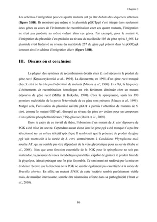 Chapitre 3


Les schémas d’intégration pour ces quatre mutants ont pu être déduits des séquences obtenues
(figure 3.8B). Ils montrent que même si le plasmide pGOTpgk s’est intégré dans seulement
deux gènes au cours de l’évènement de recombinaison chez ces quatre mutants, l’intégration
ne s’est pas produite au même endroit dans ces gènes. Par exemple, pour le mutant 4,
l’intégration du plasmide s’est produite au niveau du nucléotide 105 du gène spici11_005. Le
plasmide s’est linéarisé au niveau du nucléotide 257 du gène pgk présent dans le pGOTpgk
donnant ainsi le schéma d’intégration décrit (figure 3.8B).


III. Discussion et conclusion

       La plupart des systèmes de recombinaison décrits chez E. coli nécessite le produit du
gène recA (Kowalczykowski et al., 1994). La découverte, en 1995, d’un gène recA tronqué
chez S. citri ne facilite pas l’obtention de mutants (Marais et al., 1996). En effet, la fréquence
d’évènements de recombinaison homologue est très fortement diminuée chez un mutant
dépourvu de gène recA (Miller & Kokjohn, 1990). Chez le spiroplasme, seuls les 390
premiers nucléotides de la partie N-terminale de ce gène sont présents (Marais et al., 1996).
Malgré cela, l’utilisation du plasmide navette pGOT a permis l’obtention de mutants de S.
citri, comme le mutant GII3-gt1, disrupté au niveau du gène crr codant pour un composant
d’un système phosphotransferase (PTS)-glucose (Duret et al., 2005).
       Dans le cadre de ce travail de thèse, l’obtention d’un mutant de S. citri dépourvu de
PGK a été mise en oeuvre. Cependant aucun clone dont le gène pgk a été tronqué n’a pu être
sélectionné sur un milieu sélectif spécifique Il semblerait que la présence du produit du gène
pgk soit essentielle à la survie de S. citri, contrairement à Candidatus Phytoplasma mali
souche AT, qui ne semble pas être dépendant de la voie glycolytique pour sa survie (Kube et
al., 2008). Bien que cette fonction essentielle de la PGK pour le spiroplasme ne soit pas
inattendue, la présence de voies métaboliques parallèles, capable de générer le produit final de
la glycolyse, laissait présager une fin plus favorable. Ce sentiment est renforcé par la mise en
évidence récente que la fonction de la PGK ne semble également pas essentielle à la survie de
Brucella abortus. En effet, un mutant ∆PGK de cette bactérie semble parfaitement viable
mais, de manière intéressante, semble être néanmoins affecté dans sa pathogénicité (Trant et
al., 2010).




                                               86
 