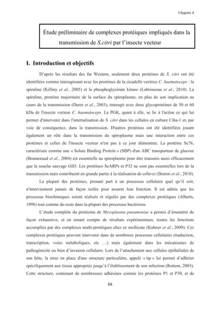 Chapitre 4




         Étude préliminaire de complexes protéiques impliqués dans la
                   transmission de S.citri par l’insecte vecteur


I. Introduction et objectifs
       D’après les résultats des far Western, seulement deux protéines de S. citri ont été
identifiées comme interagissant avec les protéines de la cicadelle vectrice C. haematoceps : la
spiraline (Killiny et al., 2005) et la phosphoglycérate kinase (Labroussaa et al., 2010). La
spiraline, protéine majoritaire de la surface du spiroplasme, en plus de son implication au
cours de la transmission (Duret et al., 2003), interagit avec deux glycoprotéines de 50 et 60
kDa de l'insecte vecteur C. haematoceps. La PGK, quant à elle, se lie à l'actine ce qui lui
permet d'intervenir dans l'internalisation de S. citri dans les cellules en culture Ciha-1 et, par
voie de conséquence, dans la transmission. D'autres protéines ont été identifiées jouant
également un rôle dans la transmission du spiroplasme mais une interaction entre ces
protéines et celles de l'insecte vecteur n'est pas à ce jour démontrée. La protéine Sc76,
caractérisée comme une « Solute Binding Protein » (SBP) d'un ABC transporteur de glucose
(Boutareaud et al., 2004) est essentielle au spiroplasme pour être transmis aussi efficacement
que la souche sauvage GII3. Les protéines ScARPs et P32 ne sont pas essentielles lors de la
transmission mais contribuent en grande partie à la réalisation de celle-ci (Breton et al., 2010).
       La plupart des protéines, prenant part à un processus cellulaire quel qu’il soit,
n'interviennent jamais de façon isolée pour assurer leur fonction. Il est admis que les
processus biochimiques soient réalisés et régulés par des complexes protéiques (Alberts,
1998) tout comme du reste dans la plupart des processus bactériens.
       L’étude complète du protéome de Mycoplasma pneumoniae a permis d’énumérer de
façon exhaustive, et en tenant compte de résultats expérimentaux, toutes les fonctions
accomplies par des complexes multi-protéiques chez ce mollicute (Kuhner et al., 2009). Ces
complexes protéiques peuvent intervenir dans de nombreux processus cellulaires (traduction,
transcription, voies métaboliques, etc …) mais également dans les mécanismes de
pathogénicité ou bien d’invasion cellulaire. Lors de l’attachement aux cellules épithéliales de
son hôte, la mise en place d'une structure particulière, appelé « tip » lui permet d’adhérer
spécifiquement aux tissus appropriés jusqu’à l’établissement de son infection (Rottem, 2003).
Cette structure, contenant de nombreuses adhésines comme les protéines P1 et P30, et de

                                               88
 
