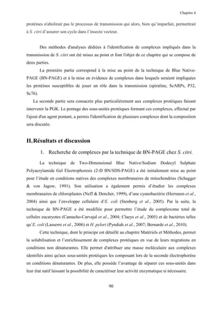 Chapitre 4


protéines n'abolirait pas le processus de transmission qui alors, bien qu’imparfait, permettrait
à S. citri d’assurer son cycle dans l’insecte vecteur.


         Des méthodes d'analyses dédiées à l'identification de complexes impliqués dans la
transmission de S. citri ont été mises au point et font l'objet de ce chapitre qui se compose de
deux parties.
         La première partie correspond à la mise au point de la technique de Blue Native-
PAGE (BN-PAGE) et à la mise en évidence de complexes dans lesquels seraient impliquées
les protéines susceptibles de jouer un rôle dans la transmission (spiraline, ScARPs, P32,
Sc76).
   La seconde partie sera consacrée plus particulièrement aux complexes protéiques faisant
intervenir la PGK. Le pontage des sous-unités protéiques formant ces complexes, effectué par
l'ajout d'un agent pontant, a permis l'identification de plusieurs complexes dont la composition
sera discutée.


II. Résultats et discussion
         1. Recherche de complexes par la technique de BN-PAGE chez S. citri.

         La technique de Two-Dimensional Blue Native/Sodium Dodecyl Sulphate
Polyacrylamide Gel Electrophoresis (2-D BN/SDS-PAGE) a été initialement mise au point
pour l’étude en conditions natives des complexes membranaires de mitochondries (Schagger
& von Jagow, 1991). Son utilisation a également permis d’étudier les complexes
membranaires de chloroplastes (Neff & Dencher, 1999), d’une cyanobactérie (Herranen et al.,
2004) ainsi que l’enveloppe cellulaire d’E. coli (Stenberg et al., 2005). Par la suite, la
technique de BN-PAGE a été modifiée pour permettre l’étude du complexome total de
cellules eucaryotes (Camacho-Carvajal et al., 2004; Claeys et al., 2005) et de bactéries telles
qu’E. coli (Lasserre et al., 2006) et H. pylori (Pyndiah et al., 2007; Bernarde et al., 2010).
         Cette technique, dont le principe est détaillé au chapitre Matériels et Méthodes, permet
la solubilisation et l’enrichissement de complexes protéiques en vue de leurs migrations en
conditions non dénaturantes. Elle permet d'attribuer une masse moléculaire aux complexes
identifiés ainsi qu'aux sous-unités protéiques les composant lors de la seconde électrophorèse
en conditions dénaturantes. De plus, elle possède l’avantage de séparer ces sous-unités dans
leur état natif laissant la possibilité de caractériser leur activité enzymatique si nécessaire.


                                                 90
 