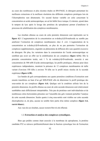 Chapitre 4


au cours des nombreuses et plus récentes études en BN-PAGE, le détergent permettant les
meilleures extractions et la meilleure résolution des différents complexes protéiques lors de
l’électrophorèse non dénaturante. Un second facteur variable est celui concernant la
concentration en acide aminocaproïque, un sel de faible force ionique. Ce dernier, ajouté dans
le tampon de lyse après le lavage des protéines du spiroplasme permet d’améliorer le
processus de solubilisation des complexes membranaires.


       Les résultats obtenus au cours de cette première dimension sont représentés sur la
figure 4.3. L’augmentation de la concentration en n-dodecyl-β-D-maltoside ne semble pas
améliorer l’extraction de complexes membranaires chez S. citri. L’augmentation de la
concentration en n-dodecyl-β-D-maltoside, en plus de ne pas permettre l’extraction de
complexes supplémentaires, engendre un phénomène de diffusion dû à une quantité excessive
de détergent. De plus, les variations dans la concentration de l’acide aminocaproïque ne
semblent pas avoir un effet sur la solubilisation de ces complexes (figure 4.3A). Dès la
première concentration testée, soit 1 % de n-dodecyl-β-D-maltoside, associée à une
concentration de 500 mM d’acide aminocaproïque, les profils protéiques, obtenus pour deux
expériences indépendantes, montrent la présence de 12 complexes membranaires de taille
variant d’environ 550 kDa à environ 70 kDa sur le profil mieux résolus de la seconde
expérience (figure 4.3B).
       Les bandes de gels correspondantes aux quatre premières conditions d’extraction sont
ensuite transférées en haut d’un gel SDS-PAGE afin de déterminer le profil protéique des
sous-unités de ces complexes (figure 4.4). Quelque soit la condition utilisée lors de la
première dimension, les profils obtenus au cours de cette seconde dimension sont relativement
semblables mais difficilement interprétables. Très peu de protéines sont individualisées et de
nombreuses stries horizontales présentes sur l’ensemble des gels viennent perturber l’analyse
de cette seconde dimension. Seules quatre à cinq sous-unités sont visibles sur cette seconde
électrophorèse et, de plus, aucune ne semble faire partie d'un même complexe (figure 4.4,
carrés blancs).
       Aux vues de ces résultats, aucun western blot n'a été effectué.


           1.2. Extraction et analyse des complexes cytosoliques.

       Bien que prédite comme étant associée à la membrane du spiroplasme, la protéine
candidate P32 se retrouve préférentiellement dans la fraction cytosolique lors de l'extraction

                                              92
 