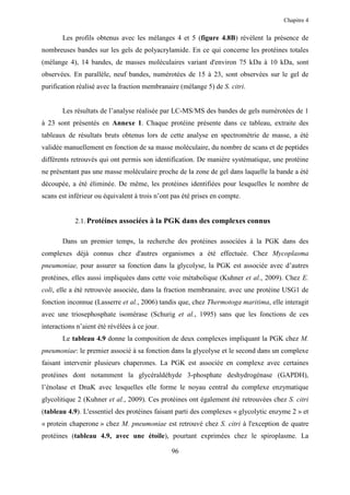 Chapitre 4


       Les profils obtenus avec les mélanges 4 et 5 (figure 4.8B) révèlent la présence de
nombreuses bandes sur les gels de polyacrylamide. En ce qui concerne les protéines totales
(mélange 4), 14 bandes, de masses moléculaires variant d'environ 75 kDa à 10 kDa, sont
observées. En parallèle, neuf bandes, numérotées de 15 à 23, sont observées sur le gel de
purification réalisé avec la fraction membranaire (mélange 5) de S. citri.


       Les résultats de l’analyse réalisée par LC-MS/MS des bandes de gels numérotées de 1
à 23 sont présentés en Annexe 1. Chaque protéine présente dans ce tableau, extraite des
tableaux de résultats bruts obtenus lors de cette analyse en spectrométrie de masse, a été
validée manuellement en fonction de sa masse moléculaire, du nombre de scans et de peptides
différents retrouvés qui ont permis son identification. De manière systématique, une protéine
ne présentant pas une masse moléculaire proche de la zone de gel dans laquelle la bande a été
découpée, a été éliminée. De même, les protéines identifiées pour lesquelles le nombre de
scans est inférieur ou équivalent à trois n’ont pas été prises en compte.


            2.1. Protéines associées à la PGK dans des complexes connus

       Dans un premier temps, la recherche des protéines associées à la PGK dans des
complexes déjà connus chez d'autres organismes a été effectuée. Chez Mycoplasma
pneumoniae, pour assurer sa fonction dans la glycolyse, la PGK est associée avec d’autres
protéines, elles aussi impliquées dans cette voie métabolique (Kuhner et al., 2009). Chez E.
coli, elle a été retrouvée associée, dans la fraction membranaire, avec une protéine USG1 de
fonction inconnue (Lasserre et al., 2006) tandis que, chez Thermotoga maritima, elle interagit
avec une triosephosphate isomérase (Schurig et al., 1995) sans que les fonctions de ces
interactions n’aient été révélées à ce jour.
       Le tableau 4.9 donne la composition de deux complexes impliquant la PGK chez M.
pneumoniae: le premier associé à sa fonction dans la glycolyse et le second dans un complexe
faisant intervenir plusieurs chaperones. La PGK est associée en complexe avec certaines
protéines dont notamment la glycéraldéhyde 3-phosphate deshydrogénase (GAPDH),
l’énolase et DnaK avec lesquelles elle forme le noyau central du complexe enzymatique
glycolitique 2 (Kuhner et al., 2009). Ces protéines ont également été retrouvées chez S. citri
(tableau 4.9). L'essentiel des protéines faisant parti des complexes « glycolytic enzyme 2 » et
« protein chaperone » chez M. pneumoniae est retrouvé chez S. citri à l'exception de quatre
protéines (tableau 4.9, avec une étoile), pourtant exprimées chez le spiroplasme. La

                                               96
 