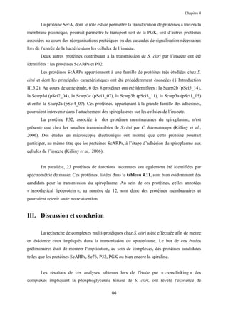 Chapitre 4


       La protéine SecA, dont le rôle est de permettre la translocation de protéines à travers la
membrane plasmique, pourrait permettre le transport soit de la PGK, soit d’autres protéines
associées au cours des réorganisations protéiques ou des cascades de signalisation nécessaires
lors de l’entrée de la bactérie dans les cellules de l’insecte.
       Deux autres protéines contribuant à la transmission de S. citri par l’insecte ont été
identifiées : les protéines ScARPs et P32.
       Les protéines ScARPs appartiennent à une famille de protéines très étudiées chez S.
citri et dont les principales caractéristiques ont été précédemment énoncées (§ Introduction
III.3.2). Au cours de cette étude, 6 des 8 protéines ont été identifiées : la Scarp2b (pSci5_14),
la Scarp3d (pSci2_04), la Scarp3c (pSci3_07), la Scarp3b (pSci5_11), la Scarp3a (pSci1_05)
et enfin la Scarp2a (pSci4_07). Ces protéines, appartenant à la grande famille des adhésines,
pourraient intervenir dans l’attachement des spiroplasmes sur les cellules de l’insecte.
       La protéine P32, associée à          des protéines membranaires du spiroplasme, n’est
présente que chez les souches transmissibles de S.citri par C. haematoceps (Killiny et al.,
2006). Des études en microscopie électronique ont montré que cette protéine pourrait
participer, au même titre que les protéines ScARPs, à l’étape d’adhésion du spiroplasme aux
cellules de l’insecte (Killiny et al., 2006).


       En parallèle, 23 protéines de fonctions inconnues ont également été identifiées par
spectrométrie de masse. Ces protéines, listées dans le tableau 4.11, sont bien évidemment des
candidats pour la transmission du spiroplasme. Au sein de ces protéines, celles annotées
« hypothetical lipoprotein », au nombre de 12, sont donc des protéines membranaires et
pourraient retenir toute notre attention.


III. Discussion et conclusion

       La recherche de complexes multi-protéiques chez S. citri a été effectuée afin de mettre
en évidence ceux impliqués dans la transmission du spiroplasme. Le but de ces études
préliminaires était de montrer l'implication, au sein de complexes, des protéines candidates
telles que les protéines ScARPs, Sc76, P32, PGK ou bien encore la spiraline.


       Les résultats de ces analyses, obtenus lors de l'étude par « cross-linking » des
complexes impliquant la phosphoglycérate kinase de S. citri, ont révélé l'existence de

                                                 99
 
