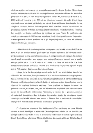 Chapitre 4


plusieurs protéines qui peuvent être potentiellement associées à cette dernière. Même si nos
résultats semblent en accord avec des études précédentes, mettant en évidence des partenaires
protéiques de la PGK au sein de divers organismes comme M. pneumoniae (Kuhner et al.,
2009) et E. coli (Lasserre et al., 2006), il est néanmoins nécessaire de garder à l'esprit que
cette étude reste une étape préliminaire en vue de la caractérisation fonctionnelle de ces
complexes. Plusieurs facteurs limitants peuvent venir perturber l'analyse des résultats. La
présence de protéines fortement exprimées chez le spiroplasme pourrait créant une source de
faux positifs. La fixation aspécifique de protéines au cours l'étape de purification des
complexes comprenant la PGK tagguée sur colonne de nickel est problématique. Néanmoins,
la faible présence de telles protéines sur le gel de polyacrylamide, au cours des contrôles
négatifs effectués, est rassurante.


       L'identification de plusieurs protéines interagissant avec la PGK, comme la P32 ou les
ScARPs est un premier élément pour mettre en évidence l'existence de complexes multi-
protéiques jouant un rôle dans la transmission de S. citri par son insecte vecteur. Des mutants
dans lesquels ces protéines sont absentes sont moins efficacement transmis que la souche
sauvage (Berho et al., 2006; Killiny et al., 2006). Aux vues du rôle de la PGK dans
l'internalisation dans les cellules de l'insecte, il se pourrait que ces protéines agissent de pair
avec la PGK au cours du processus d'invasion cellulaire.
       L'étude de la fraction protéique membranaire de S. citri a été réalisée dans le but
d'identifier des sous-unités, interagissant avec la PGK au niveau de la surface du spiroplasme.
Peu de protéines ont été retrouvées exclusivement dans cette fraction. Il est vraisemblable que
l'étape de purification, qui apporte la spécificité à la technique, soit un facteur limitant pour la
détection de protéines faiblement exprimée. Deux protéines de fonction inconnue, les
protéines SPICI16_011 et SPICI 14_005, ont été identifiées uniquement dans cette fraction ce
qui en fait des candidates intéressantes. Néanmoins, la présence de 11 protéines, annotées
« hypothetical lipoprotein », dans la fraction des protéines totales du spiroplasme permet
d'envisager que la PGK pourrait, pour assurer sa fonction dans le processus de transmission,
interagir avec plusieurs autres protéines à la surface du spiroplasme.


       Ces hypothèses nécessitent bien évidemment d'être confirmées au cours d'études
utilisant d'autres techniques d'interactions protéine-protéine comme le far Western par
exemple ou bien lors d'études ex vivo en microscopie confocale en utilisant la lignée cellulaire
Ciha-1 disponible au laboratoire. Même si l'obtention de mutants ciblés est difficile chez S.
                                                100
 