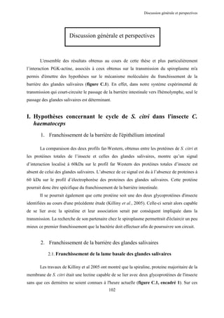 Discussion générale et perspectives




                        Discussion générale et perspectives



       L'ensemble des résultats obtenus au cours de cette thèse et plus particulièrement
l’interaction PGK-actine, associés à ceux obtenus sur la transmission du spiroplasme m'a
permis d'émettre des hypothèses sur le mécanisme moléculaire du franchissement de la
barrière des glandes salivaires (figure C.1). En effet, dans notre système expérimental de
transmission qui court-circuite le passage de la barrière intestinale vers l'hémolymphe, seul le
passage des glandes salivaires est déterminant.


I. Hypothèses concernant le cycle de S. citri dans l'insecte C.
   haematoceps
       1. Franchissement de la barrière de l'épithélium intestinal

       La comparaison des deux profils far-Western, obtenus entre les protéines de S. citri et
les protéines totales de l’insecte et celles des glandes salivaires, montre qu’un signal
d’interaction localisé à 60kDa sur le profil far Western des protéines totales d’insecte est
absent de celui des glandes salivaires. L’absence de ce signal est du à l’absence de proteines à
60 kDa sur le profil d’électrophorèse des proteines des glandes salivaires. Cette protéine
pourrait donc être spécifique du franchissement de la barrière intestinale.
       Il se pourrait également que cette protéine soit une des deux glycoprotéines d'insecte
identifiées au cours d'une précédente étude (Killiny et al., 2005). Celle-ci serait alors capable
de se lier avec la spiraline et leur association serait par conséquent impliquée dans la
transmission. La recherche de son partenaire chez le spiroplasme permettrait d'éclaircir un peu
mieux ce premier franchissement que la bactérie doit effectuer afin de poursuivre son circuit.


       2. Franchissement de la barrière des glandes salivaires

            2.1. Franchissement de la lame basale des glandes salivaires

       Les travaux de Killiny et al 2005 ont montré que la spiraline, proteine majoritaire de la
membrane de S. citri était une lectine capable de se lier avec deux glycoprotéines de l'insecte
sans que ces dernières ne soient connues à l'heure actuelle (figure C.1, encadré 1). Sur ces
                                              102
 