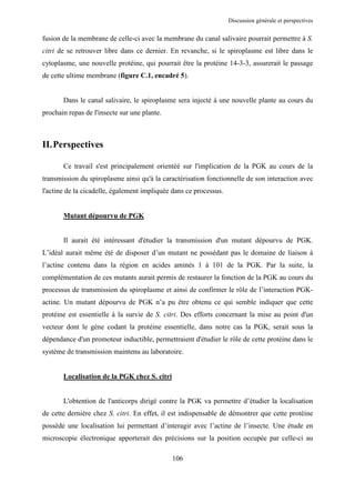 Discussion générale et perspectives


fusion de la membrane de celle-ci avec la membrane du canal salivaire pourrait permettre à S.
citri de se retrouver libre dans ce dernier. En revanche, si le spiroplasme est libre dans le
cytoplasme, une nouvelle protéine, qui pourrait être la protéine 14-3-3, assurerait le passage
de cette ultime membrane (figure C.1, encadré 5).


       Dans le canal salivaire, le spiroplasme sera injecté à une nouvelle plante au cours du
prochain repas de l'insecte sur une plante.



II. Perspectives

       Ce travail s'est principalement orientéé sur l'implication de la PGK au cours de la
transmission du spiroplasme ainsi qu'à la caractérisation fonctionnelle de son interaction avec
l'actine de la cicadelle, également impliquée dans ce processus.


       Mutant dépourvu de PGK


       Il aurait été intéressant d'étudier la transmission d'un mutant dépourvu de PGK.
L’idéal aurait même été de disposer d’un mutant ne possédant pas le domaine de liaison à
l’actine contenu dans la région en acides aminés 1 à 101 de la PGK. Par la suite, la
complémentation de ces mutants aurait permis de restaurer la fonction de la PGK au cours du
processus de transmission du spiroplasme et ainsi de confirmer le rôle de l’interaction PGK-
actine. Un mutant dépourvu de PGK n’a pu être obtenu ce qui semble indiquer que cette
protéine est essentielle à la survie de S. citri. Des efforts concernant la mise au point d'un
vecteur dont le gène codant la protéine essentielle, dans notre cas la PGK, serait sous la
dépendance d'un promoteur inductible, permettraient d'étudier le rôle de cette protéine dans le
système de transmission maintenu au laboratoire.


       Localisation de la PGK chez S. citri


       L'obtention de l'anticorps dirigé contre la PGK va permettre d’étudier la localisation
de cette dernière chez S. citri. En effet, il est indispensable de démontrer que cette protéine
possède une localisation lui permettant d’interagir avec l’actine de l’insecte. Une étude en
microscopie électronique apporterait des précisions sur la position occupée par celle-ci au

                                              106
 