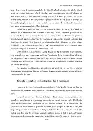 Discussion générale et perspectives


cours du processus d’invasion des cellules de l’hôte. De plus, l’utilisation des cellules Ciha-1
serait un avantage indéniable afin de visualiser des évènements nécessitant l’adhésion du
spiroplasme avec la cellule eucaryote. Si la localisation de la PGK, permettant l’interaction
avec l’actine, requiert la mise en place de signaux cellulaires mis en place au moment du
contact du spiroplasme avec la cellule, les études en microscopie devront être effectuées dans
un système utilisant des cellules Ciha-1 infectées.
        L’étude du « sécrétome » de S. citri pourrait permettre de révéler si la PGK est
sécrétée par le spiroplasme dans le but de se lier avec l’actine. Une étude préliminaire du
secrétome de S. citri a montré la présence de celle-ci dans la fraction de protéines
potentiellement secrétées. Aux vues des résultats, ce « sécrétome » pourrait également être
étudié dans le cadre de l’infection par le spiroplasme des cellules d’insectes en culture afin de
déterminer si une éventuelle sécrétion de la PGK requiert des signaux de relocalisation ou de
clivage mis en place au moment de l’adhésion de S. citri.
        L’utilisation de la cytochalasine D, une drogue qui dépolymérise les microfilaments,
pourrait également nous permettre de confirmer l’implication de l’actine dans l’internalisation
du spiroplasme. Des incubations, avec différentes concentrations de cette molécule, sur des
cellules Ciha-1 infectées par S. citri devraient influer sur la capacité de ce dernier à envahir
les cellules de l’insecte.
        Ces résultats supplémentaires permettraient de confirmer ou non les hypothèses
formulées au cours de cette thèse sur la fonction de cette protéine associée à l'internalisation
dans les cellules de l'hôte.


        Recherche de complexes protéines impliqués dans la transmission


        L'ensemble des étapes régissant la transmission de S. citri semble être caractérisés par
l'implication de complexes multi-protéiques. Des efforts devraient être poursuivis dans cette
voie.
        La confirmation, par d'autres techniques d'interactions protéine-protéine, des
complexes identifiés par la technique de « cross-linking » serait nécessaire afin d'établir des
bases solides concernant l'implication de ces derniers au cours de la transmission. La
caractérisation fonctionnelle des protéines de chacun de ces complexes sera, par la suite, une
étape indispensable à la compréhension du cycle de S. citri dans son vecteur. Ceci devra être
réalisé aussi bien pour les protéines candidates définies comme la P32 et les ScARPs mais
également pour l'ensemble des lipoprotéines hypothétiques identifiées au cours de cette thèse.
                                              107
 