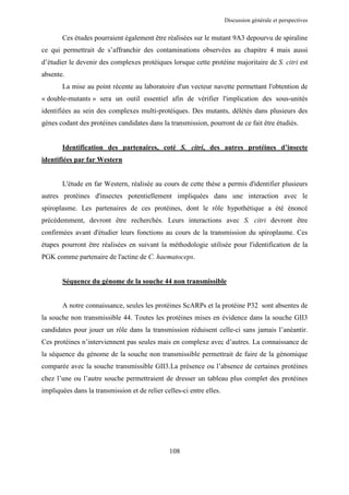 Discussion générale et perspectives


       Ces études pourraient également être réalisées sur le mutant 9A3 depourvu de spiraline
ce qui permettrait de s’affranchir des contaminations observées au chapitre 4 mais aussi
d’étudier le devenir des complexes protéiques lorsque cette protéine majoritaire de S. citri est
absente.
       La mise au point récente au laboratoire d'un vecteur navette permettant l'obtention de
« double-mutants » sera un outil essentiel afin de vérifier l'implication des sous-unités
identifiées au sein des complexes multi-protéiques. Des mutants, délétés dans plusieurs des
gènes codant des protéines candidates dans la transmission, pourront de ce fait être étudiés.


       Identification des partenaires, coté S. citri, des autres protéines d’insecte
identifiées par far Western


       L'étude en far Western, réalisée au cours de cette thèse a permis d'identifier plusieurs
autres protéines d'insectes potentiellement impliquées dans une interaction avec le
spiroplasme. Les partenaires de ces protéines, dont le rôle hypothétique a été énoncé
précédemment, devront être recherchés. Leurs interactions avec S. citri devront être
confirmées avant d'étudier leurs fonctions au cours de la transmission du spiroplasme. Ces
étapes pourront être réalisées en suivant la méthodologie utilisée pour l'identification de la
PGK comme partenaire de l'actine de C. haematoceps.


       Séquence du génome de la souche 44 non transmissible


       A notre connaissance, seules les protéines ScARPs et la protéine P32 sont absentes de
la souche non transmissible 44. Toutes les protéines mises en évidence dans la souche GII3
candidates pour jouer un rôle dans la transmission réduisent celle-ci sans jamais l’anéantir.
Ces protéines n’interviennent pas seules mais en complexe avec d’autres. La connaissance de
la séquence du génome de la souche non transmissible permettrait de faire de la génomique
comparée avec la souche transmissible GII3.La présence ou l’absence de certaines protéines
chez l’une ou l’autre souche permettraient de dresser un tableau plus complet des protéines
impliquées dans la transmission et de relier celles-ci entre elles.




                                               108
 