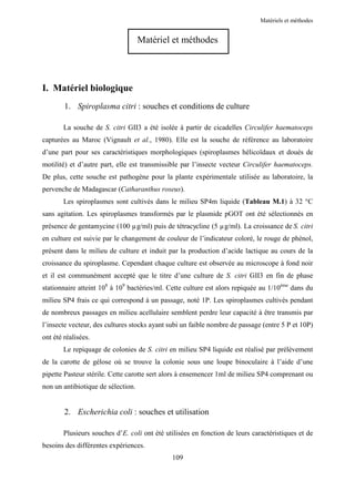 Matériels et méthodes


                                    Matériel et méthodes




I. Matériel biologique
        1. Spiroplasma citri : souches et conditions de culture

        La souche de S. citri GII3 a été isolée à partir de cicadelles Circulifer haematoceps
capturées au Maroc (Vignault et al., 1980). Elle est la souche de référence au laboratoire
d’une part pour ses caractéristiques morphologiques (spiroplasmes hélicoïdaux et doués de
motilité) et d’autre part, elle est transmissible par l’insecte vecteur Circulifer haematoceps.
De plus, cette souche est pathogène pour la plante expérimentale utilisée au laboratoire, la
pervenche de Madagascar (Catharanthus roseus).
        Les spiroplasmes sont cultivés dans le milieu SP4m liquide (Tableau M.1) à 32 °C
sans agitation. Les spiroplasmes transformés par le plasmide pGOT ont été sélectionnés en
présence de gentamycine (100 µg/ml) puis de tétracycline (5 µg/ml). La croissance de S. citri
en culture est suivie par le changement de couleur de l’indicateur coloré, le rouge de phénol,
présent dans le milieu de culture et induit par la production d’acide lactique au cours de la
croissance du spiroplasme. Cependant chaque culture est observée au microscope à fond noir
et il est communément accepté que le titre d’une culture de S. citri GII3 en fin de phase
stationnaire atteint 108 à 109 bactéries/ml. Cette culture est alors repiquée au 1/10ème dans du
milieu SP4 frais ce qui correspond à un passage, noté 1P. Les spiroplasmes cultivés pendant
de nombreux passages en milieu acellulaire semblent perdre leur capacité à être transmis par
l’insecte vecteur, des cultures stocks ayant subi un faible nombre de passage (entre 5 P et 10P)
ont été réalisées.
        Le repiquage de colonies de S. citri en milieu SP4 liquide est réalisé par prélèvement
de la carotte de gélose où se trouve la colonie sous une loupe binoculaire à l’aide d’une
pipette Pasteur stérile. Cette carotte sert alors à ensemencer 1ml de milieu SP4 comprenant ou
non un antibiotique de sélection.


        2. Escherichia coli : souches et utilisation

        Plusieurs souches d’E. coli ont été utilisées en fonction de leurs caractéristiques et de
besoins des différentes expériences.
                                              109
 