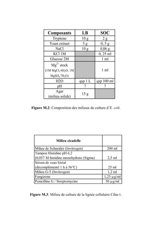 Composants               LB        SOC
              Tryptone              10 g        2g
             Yeast extract          5g        0, 5 g
                NaCl                10 g      0,06 g
               KCl 1M                        0, 25 ml
             Glucose 2M                        1 ml
                 2+
              Mg stock
          (1M MgCl2.6H2O, 1M                   1 ml
                  .
             MgSO4 7H2O)
                 H2O            qsp 1 L     qsp 100 ml
                  pH               7             7
                 Agar
                                    15 g
            (milieu solide)

Figure M.2: Composition des milieux de culture d’E. coli.




                 Milieu cicadelle

   Milieu de Schneider (Invitrogen)                200 ml
   Tampon Histidine pH 6,2
   (0,057 M histidine monohydrate (Sigma)          2,5 ml
   Sérum de veau foetal
   (décomplémenté 1 h à 56°C)                       25 ml
   Milieu G-5 (Invitrogen)                         1,2 ml
   Fungizone                                     1,25 µg/ml
   Penicilline G / Streptomycine                  50 µg/ml


Figure M.3: Milieu de culture de la lignée cellulaire Ciha-1.
 