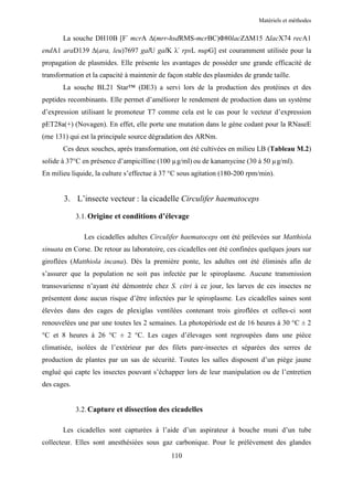 Matériels et méthodes


       La souche DH10B [F- mcrA ∆(mrr-hsdRMS-mcrBC)Φ80lacZ∆M15 ∆lacX74 recA1
endA1 araD139 ∆(ara, leu)7697 galU galK λ- rpsL nupG] est couramment utilisée pour la
propagation de plasmides. Elle présente les avantages de posséder une grande efficacité de
transformation et la capacité à maintenir de façon stable des plasmides de grande taille.
       La souche BL21 Star™ (DE3) a servi lors de la production des protéines et des
peptides recombinants. Elle permet d’améliorer le rendement de production dans un système
d’expression utilisant le promoteur T7 comme cela est le cas pour le vecteur d’expression
pET28a(+) (Novagen). En effet, elle porte une mutation dans le gène codant pour la RNaseE
(rne 131) qui est la principale source dégradation des ARNm.
       Ces deux souches, après transformation, ont été cultivées en milieu LB (Tableau M.2)
solide à 37°C en présence d’ampicilline (100 µg/ml) ou de kanamycine (30 à 50 µg/ml).
En milieu liquide, la culture s’effectue à 37 °C sous agitation (180-200 rpm/min).


       3. L’insecte vecteur : la cicadelle Circulifer haematoceps

             3.1. Origine et conditions d’élevage

               Les cicadelles adultes Circulifer haematoceps ont été prélevées sur Matthiola
sinuata en Corse. De retour au laboratoire, ces cicadelles ont été confinées quelques jours sur
giroflées (Matthiola incana). Dès la première ponte, les adultes ont été éliminés afin de
s’assurer que la population ne soit pas infectée par le spiroplasme. Aucune transmission
transovarienne n’ayant été démontrée chez S. citri à ce jour, les larves de ces insectes ne
présentent donc aucun risque d’être infectées par le spiroplasme. Les cicadelles saines sont
élevées dans des cages de plexiglas ventilées contenant trois giroflées et celles-ci sont
renouvelées une par une toutes les 2 semaines. La photopériode est de 16 heures à 30 °C ± 2
°C et 8 heures à 26 °C ± 2 °C. Les cages d’élevages sont regroupées dans une pièce
climatisée, isolées de l’extérieur par des filets pare-insectes et séparées des serres de
production de plantes par un sas de sécurité. Toutes les salles disposent d’un piège jaune
englué qui capte les insectes pouvant s’échapper lors de leur manipulation ou de l’entretien
des cages.


             3.2. Capture et dissection des cicadelles

       Les cicadelles sont capturées à l’aide d’un aspirateur à bouche muni d’un tube
collecteur. Elles sont anesthésiées sous gaz carbonique. Pour le prélèvement des glandes
                                              110
 