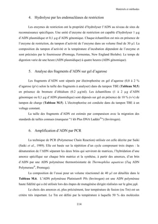 Matériels et méthodes


        4. Hydrolyse par les endonucléases de restriction

       Les enzymes de restriction ont la propriété d’hydrolyser l’ADN au niveau de sites de
reconnaissance spécifiques. Une unité d’enzyme de restriction est capable d’hydrolyser 1 µg
d’ADN plasmidique et 0,1 µg d’ADN génomique. Chaque échantillon est mis en présence de
l’enzyme de restriction, du tampon d’activité de l’enzyme dans un volume final de 30 µl. La
composition du tampon d’activité et la température d’incubation dépendent de l’enzyme et
sont précisées par le fournisseur (Promega, Fermentas, New England Biolabs). Le temps de
digestion varie de une heure (ADN plasmidique) à quatre heures (ADN génomique).


        5. Analyse des fragments d’ADN sur gel d’agarose

       Les fragments d’ADN sont séparés par électrophorèse en gel d’agarose (0,8 à 2 %
d’agarose (p/v) selon la taille des fragments à analyser) dans du tampon TBE (Tableau M.5)
en présence de bromure d’éthidium (0.2 µg/ml). Les échantillons (1 à 2 µg d’ADN
génomique ou 0,1 µg d’ADN plasmidique) sont déposés sur gel en présence de 10 % (v/v) de
tampon de charge (Tableau M.5). L’électrophorèse est conduite dans du tampon TBE à un
voltage constant.
       La taille des fragments d’ADN est estimée par comparaison avec la migration des
standards de tailles connues (marqueur "1 kb Plus DNA Ladder®") (Invitrogen).


        6. Amplification d’ADN par PCR

       La technique de PCR (Polymerase Chain Reaction) utilisée est celle décrite par Saiki
(Saiki et al., 1989). Elle est basée sur la répétition d’un cycle comprenant trois étapes : la
dénaturation de l’ADN séparant les deux brins qui serviront de matrices, l’hybridation d’une
amorce spécifique sur chaque brin matrice et la synthèse, à partir des amorces, d’un brin
d’ADN par une ADN polymérase thermorésistante de Thermophilus aquaticus (Taq ADN
Polymerase®, Promega).
       La composition de l’essai pour un volume réactionnel de 40 µl est détaillée dans le
Tableau M.6. L’ADN polymérase Platinium® Pfx (Invitrogen) est une ADN polymérase
haute fidélité qui a été utilisée lors des étapes de mutagénèse dirigée réalisées sur le gène pgk.
       Le choix des amorces et, plus précisément, leur température de fusion (ou Tm) est un
critère très important. Le Tm est défini par la température à laquelle 50 % des molécules

                                               114
 