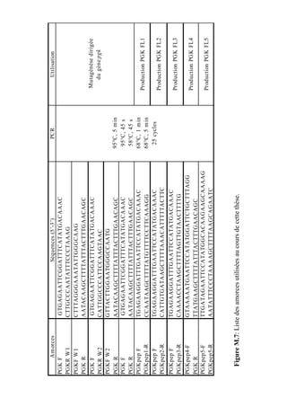 Am orces                     Séquences (5’-3’)                     PCR             Utilisation
PGK F               GTGAGAATTCGGATTTCATATGACAAAC
PGKR W1             CTTGCCCAATATTTCCCTAAAG
PGKF W1             CTTTAGGGAAATATTGGGCAAG
PGK R               AATACAAGCTTTTATTTACTTTGAACAGC
PGK F               GTGAGAATTCGGATTTCATATGACAAAC                                    Mutagénèse dirigée
PGKR W2             CATTGGCCCATTCCAAGTAAC                                             du gène pgk
PGKF W2             GTTACTTGGAATGGGCCAATG
PGK R               AATACAAGCTTTTATTTACTTTGAACAGC                    95°C, 5 m in
PGK F               GTGAGAATTCGGATTTCATATGACAAAC                      95°C, 45 s
PGK R               AATACAAGCTTTTATTTACTTTGAACAGC                     58°C, 45 s
PGKpep F            TGAGAAGGATTTGAATTCCATATGACAAAC                   68°C, 1 m in
                                                                                    Production PGK FL1
PGKpep1-R           CCAATAAGCTTTTATGTTTTCCTTCAAAGG                   68°C, 5 m in
PGKpep F            TGAGAAGGATTTGAATTCCATATGACAAAC                    25 cycles
                                                                                    Production PGK FL2
PGKpep2-R           CATTGTGATAAGCTTTTAAACATTTTTACTTC
PGKpep F            TGAGAAGGATTTGAATTCCATATGACAAAC
                                                                                    Production PGK FL3
PGKpep3-R           CAAAACCTAAGCTTTTAGTTGTAACTTTTG
PGKpep4-F           GTAAAAATGAATTCCATATGGATTCTGCTTTAGG
                                                                                    Production PGK FL4
PGK R               TTATGAAGCTTTTATTTACTTTGAACAGC
PGKpep5-F           TTGATAGAATTCCATATGGCACAAGAAGCAAAAG
                                                                                    Production PGK FL5
PGKpep5-R           AATATTTCCCTAAAAGCTTTTAAGCAGAATC



  Figure M.7: Liste des amorces utilisées au cours de cette thèse.
 