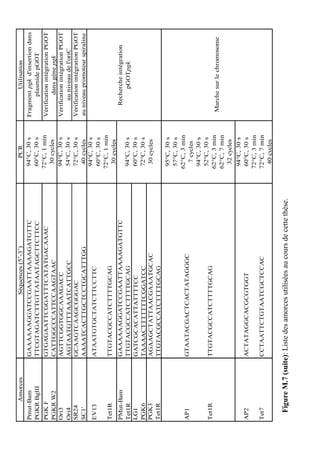 Amorces                      Séquences (5’-3’)                              PCR                 Utilisation
Pmut-Bam            GAAAAAAGGATCCGAATTAAAAGATGTTC                             94°C, 30 s   Fragment pgk d'insertion dans
PGKR BglII          TTCGTAGATCTTGTTATAATAGCTTCTTCC                            60°C, 30 s          plasmide pGOT
PGK F               GTGAGAATTCGGATTTCATATGACAAAC                             72°C, 1 min   Vérification intégration PGOT
PGKR W2             CATTGGCCCATTCCAAGTAAC                                      30 cycles           dans gène pgk
Ori3                AGTTCGGTGGCAAAGACC                                        94°C, 30 s   Vérification intégration PGOT
Ori4                AGTAATGTTTAAATCATTGCC                                     54°C, 30 s         au niveau de l'oriC
SR24                GCAAGTCAAGCGGGAC                                          72°C, 30 s   Vérification intégration PGOT
SC1'                AAAATCACTTGCTCCTGCATTTGG                                   40 cycles   au niveau promoteur spiraline
                                                                              94°C, 30 s
EV13                ATAATGTGCTATCTTCCTTC
                                                                              60°C, 30 s
                                                                             72°C, 1 min
Tet1R               TTGTACGCCATCTTTTGCAG
                                                                               30 cycles
PMut-Bam            GAAAAAAGGATCCGAATTAAAAGATGTTC                                             Recherche intégration
Tet1R               TTGTACGCCATCTTTTGCAG                                     94°C, 30 s            pGOTpgk
LG1                 GATCGCACATTATTTTCC                                       60°C, 30 s
PGK6                TAAAACTTTTTTTCGGATCC                                     72°C, 30 s
PGK3                AGAAGCTATTAACGAAATGCAC                                    30 cycles
Tet1R               TTGTACGCCATCTTTTGCAG
                                                                              95°C, 30 s
                                                                              57°C, 30 s
                                                                             62°C, 3 min
AP1                 GTAATACGACTCACTATAGGGC
                                                                                7 cycles
                                                                              94°C, 30 s
                                                                              52°C, 30 s
Tet1R               TTGTACGCCATCTTTTGCAG
                                                                             62°C, 3 min    Marche sur le chromosome
                                                                             62°C, 7 min
                                                                               32 cycles
                                                                              94°C, 30 s
AP2                 ACTATAGGCACGCGTGGT                                        60°C, 30 s
                                                                             72°C, 3 min
Tet7                CCTAATTCTGTAATCGCTCCAC                                   72°C, 7 min
                                                                               40 cycles

  Figure M.7 (suite): Liste des amorces utilisées au cours de cette thèse.
 