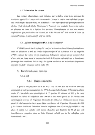 Matériels et méthodes


           8.2. Préparation du vecteur

       Les vecteurs plasmidiques sont linéarisés par hydrolyse avec la/les enzymes de
restriction appropriées. Lorsque cela est nécessaire (lorsque le vecteur n’est hydrolysé que par
une seule enzyme de restriction), les extrémités 5’ sont déphosphorylées par la phosphatase
alcaline (Calf Intestinal Alkalin Phosphatase®, Promega) pour empêcher la recircularisation
du plasmide au cours de la ligation. Les vecteurs, déphosphorylés ou non, sont ensuite
déprotéinisés par purification sur colonne par le kit Wizard SV® Gel and PCR clean up
system (Promega) et repris dans 50 µl d’eau stérile.


           8.3. Ligation du fragment PCR et de son vecteur

       L’ADN ligase du bactériophage T4 catalyse la formation d’une liaison phosphodiester
entre les extrémités 3’-OH du vecteur déphosphorylé et les extrémités 5’-P du fragment
d’ADN à cloner. Le vecteur est mis en présence du fragment à cloner suivant un ratio 1:3 et
d’une unité de ligase dans le tampon d’activité de l’enzyme préconisé par le fournisseur
(Promega) dans un volume final de 10 µl. La ligation est réalisée par incubation à température
ambiante pendant 4 heures ou toute la nuit à 4°C.


       9. Transformation des bactéries

           9.1. E. coli

                     9.1.1. Electrocompétentes

       A partir d’une préculture de 5 ml de E. coli DH10B, 500 ml de milieu LB sont
ensemencés et cultivés sous agitation et à 37 °C. Lorsque l’absorbance à 550 nm de la culture
atteint 0,7, les cellules sont centrifugées à 4 °C, pendant 10 minutes à 6 000 g. Le culot
bactérien est remis en suspension dans 500 ml d’eau stérile glacée et les cellules sont
centrifugées à nouveau à 4 °C pendant 10 minutes à 6 000 g. Les cellules sont ensuite lavées
dans 250 ml d’eau stérile glacée avant d’être centrifugées à 4 °C pendant 10 minutes à 6 000
g. Le culot de cellules est finalement remis en suspension dans 10 ml de glycérol (10 % v/v)
glacé et stérile. Les cellules sont ensuite aliquotées par fractions de 40 µl qui sont
immédiatement congelées dans un bain d’éthanol refroidi par de la carboglace puis
conservées à - 80 °C.


                                              116
 