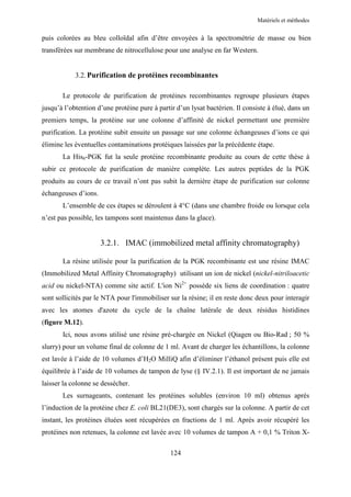 Matériels et méthodes


puis colorées au bleu colloïdal afin d’être envoyées à la spectrométrie de masse ou bien
transférées sur membrane de nitrocellulose pour une analyse en far Western.


            3.2. Purification de protéines recombinantes

       Le protocole de purification de protéines recombinantes regroupe plusieurs étapes
jusqu’à l’obtention d’une protéine pure à partir d’un lysat bactérien. Il consiste à élué, dans un
premiers temps, la protéine sur une colonne d’affinité de nickel permettant une première
purification. La protéine subit ensuite un passage sur une colonne échangeuses d’ions ce qui
élimine les éventuelles contaminations protéiques laissées par la précédente étape.
       La His6-PGK fut la seule protéine recombinante produite au cours de cette thèse à
subir ce protocole de purification de manière complète. Les autres peptides de la PGK
produits au cours de ce travail n’ont pas subit la dernière étape de purification sur colonne
échangeuses d’ions.
       L’ensemble de ces étapes se déroulent à 4°C (dans une chambre froide ou lorsque cela
n’est pas possible, les tampons sont maintenus dans la glace).


                      3.2.1. IMAC (immobilized metal affinity chromatography)

       La résine utilisée pour la purification de la PGK recombinante est une résine IMAC
(Immobilized Metal Affinity Chromatography) utilisant un ion de nickel (nickel-nitriloacetic
acid ou nickel-NTA) comme site actif. L'ion Ni2+ possède six liens de coordination : quatre
sont sollicités par le NTA pour l'immobiliser sur la résine; il en reste donc deux pour interagir
avec les atomes d'azote du cycle de la chaîne latérale de deux résidus histidines
(figure M.12).
       Ici, nous avons utilisé une résine pré-chargée en Nickel (Qiagen ou Bio-Rad ; 50 %
slurry) pour un volume final de colonne de 1 ml. Avant de charger les échantillons, la colonne
est lavée à l’aide de 10 volumes d’H2O MilliQ afin d’éliminer l’éthanol présent puis elle est
équilibrée à l’aide de 10 volumes de tampon de lyse (§ IV.2.1). Il est important de ne jamais
laisser la colonne se dessécher.
       Les surnageants, contenant les protéines solubles (environ 10 ml) obtenus après
l’induction de la protéine chez E. coli BL21(DE3), sont chargés sur la colonne. A partir de cet
instant, les protéines éluées sont récupérées en fractions de 1 ml. Après avoir récupéré les
protéines non retenues, la colonne est lavée avec 10 volumes de tampon A + 0,1 % Triton X-

                                               124
 