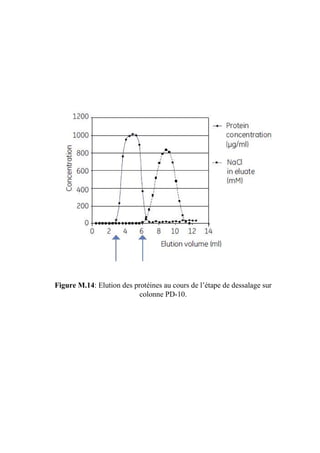 Figure M.14: Elution des protéines au cours de l’étape de dessalage sur
                           colonne PD-10.
 
