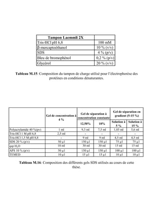 Tampon Laemmli 2X
                    Tris-HCl pH 6,8                           100 mM
                    β-mercaptoéthanol                        10 % (v/v)
                    SDS                                       4 % (p/v)
                    Bleu de bromophénol                      0,2 % (p/v)
                    Glycérol                                 20 % (v/v)

    Tableau M.15: Composition du tampon de charge utilisé pour l’électrophorèse des
                       protéines en conditions dénaturantes.




                                                                          Gel de séparation en
                                                   Gel de séparation à
                          Gel de concentration à                           gradient (5-15 %)
                                                 concentration constante
                                    4%
                                                                         Solution à Solution à
                                                   12,50%        10%
                                                                            5%          15 %
Polyacrylamide 40 %(pv)             1 ml            9,3 ml      7,5 ml    1,85 ml      5,6 ml
Tris-HCl 1 M pH 6,8               2,5 ml               -           -          -           -
Tris-HCl 1,5 M pH 8,8                 -              9 ml        9 ml      4,5 ml      4,5 ml
SDS 20 % (p/v)                     50 µl            150 µl      150 µl     75 µl        75 µl
qsp H2O                            10 ml             30 ml      30 ml      15 ml        15 ml
APS 10 % (p/v)                    50 µl            150 µl     150 µl       100 µl     100 µl
TEMED                             10 µl             15 µl      15 µl        10 µl      10 µl

      Tableau M.16: Composition des différents gels SDS utilisés au cours de cette
                                       thèse.
 