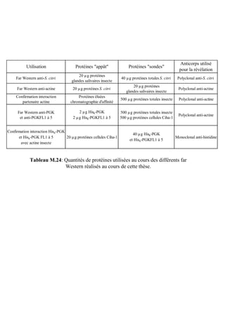 Anticorps utilisé
           Utilisation                  Protéines "appât"                Protéines "sondes"
                                                                                                         pour la révélation
                                          20 µg protéines
     Far Western anti-S. citri                                      40 µg protéines totales S. citri    Polyclonal anti-S. citri
                                      glandes salivaires insecte
                                                                           20 µg protéines
     Far Western anti-actine          20 µg protéines S. citri                                          Polyclonal anti-actine
                                                                       glandes salivaires insecte
     Confirmation interaction            Protéines éluées
                                                                    500 µg protéines totales insecte    Polyclonal anti-actine
        partenaire actine            chromatographie d'affinité

      Far Western anti-PGK               2 µg His6-PGK              500 µg protéines totales insecte
                                                                                                        Polyclonal anti-actine
       et anti-PGKFL1 à 5             2 µg His6-PGKFL1 à 5          500 µg protéines cellules Ciha-1


Confirmation interaction His6-PGK
                                                                           40 µg His6-PGK
      et His6-PGK FL1 à 5         20 µg protéines cellules Ciha-1                                      Monoclonal anti-histidine
                                                                         et His6-PGKFL1 à 5
       avec actine insecte



             Tableau M.24: Quantités de protéines utilisées au cours des différents far
                           Western réalisés au cours de cette thèse.
 