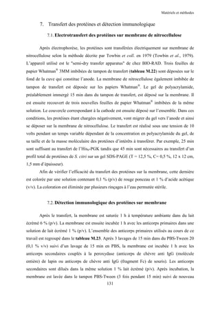 Matériels et méthodes


       7. Transfert des protéines et détection immunologique

            7.1. Electrotransfert des protéines sur membrane de nitrocellulose

       Après électrophorèse, les protéines sont transférées électriquement sur membrane de
nitrocellulose selon la méthode décrite par Towbin et coll. en 1979 (Towbin et al., 1979).
L’appareil utilisé est le "semi-dry transfer apparatus" de chez BIO-RAD. Trois feuilles de
papier Whatman® 3MM imbibées de tampon de transfert (tableau M.22) sont déposées sur le
fond de la cuve qui constitue l’anode. La membrane de nitrocellulose également imbibée de
tampon de transfert est déposée sur les papiers Whatman®. Le gel de polyacrylamide,
préalablement immergé 15 min dans du tampon de transfert, est déposé sur la membrane. Il
est ensuite recouvert de trois nouvelles feuilles de papier Whatman® imbibées de la même
solution. Le couvercle correspondant à la cathode est ensuite déposé sur l’ensemble. Dans ces
conditions, les protéines étant chargées négativement, vont migrer du gel vers l’anode et ainsi
se déposer sur la membrane de nitrocellulose. Le transfert est réalisé sous une tension de 10
volts pendant un temps variable dépendant de la concentration en polyacrylamide du gel, de
sa taille et de la masse moléculaire des protéines d’intérêts à transférer. Par exemple, 25 min
sont suffisant au transfert de l’His6-PGK tandis que 45 min sont nécessaires au transfert d’un
profil total de protéines de S. citri sur un gel SDS-PAGE (T = 12,5 %, C= 0,5 %, 12 x 12 cm,
1,5 mm d’épaisseur).
       Afin de vérifier l’efficacité du transfert des protéines sur la membrane, cette dernière
est colorée par une solution contenant 0,1 % (p/v) de rouge ponceau et 1 % d’acide acétique
(v/v). La coloration est éliminée par plusieurs rinçages à l’eau permutée stérile.


            7.2. Détection immunologique des protéines sur membrane

       Après le transfert, la membrane est saturée 1 h à température ambiante dans du lait
écrémé 6 % (p/v). La membrane est ensuite incubée 1 h avec les anticorps primaires dans une
solution de lait écrémé 1 % (p/v). L’ensemble des anticorps primaires utilisés au cours de ce
travail est regroupé dans le tableau M.23. Après 3 lavages de 15 min dans du PBS-Tween 20
(0,1 % v/v) suivi d’un lavage de 15 min en PBS, la membrane est incubée 1 h avec les
anticorps secondaires couplés à la peroxydase (anticorps de chèvre anti IgG (molécule
entière) de lapin ou anticorps de chèvre anti IgG (fragment Fc) de souris). Les anticorps
secondaires sont dilués dans la même solution 1 % lait écrémé (p/v). Après incubation, la
membrane est lavée dans le tampon PBS-Tween (3 fois pendant 15 min) suivi de nouveau
                                              131
 