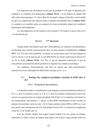Matériels et méthodes


       Les migrations ont été réalisées sur des gels en gradient 5-15% pour la séparation des
complexes en conditions non dénaturantes (tableau M.16). 1 µl de tampon de charge (500
mM acide aminocaproique, 5 % Serva Blue-G) est ajouté à chaque échantillon avant le dépôt
sur gel. Les compositions des tampons anode et cathode sont détaillées dans le tableau M.26.
La migration est visualisée grâce au marqueur de masse moléculaire adapté aux conditions
dénaturantes (GE Healthcare).
       Les électrophorèses ont été menées à watt constant (1 W) jusqu’à ce que le bleu soit à
1 cm du bord du gel.


                               10.1.2.2.   2ème dimension

       Chaque bande individuelle ayant subi l’électrophorèse en conditions non dénaturantes
est découpée puis incubée successivement dans les deux tampons d’équilibrations (tableau
M.17, § IV.5.2) afin d’être équilibrée. La bande est ensuite placée entre les deux plaques de
verre à environ 2 cm du haut du gel. Le gel SDS-PAGE est ensuite coulé jusqu’à environ 0,5
cm de la bande (tableau M.16). Une fois ce gel de séparation polymérisé, le gel de
concentration est polymérisé afin de permettre la migration des complexes protéiques.
       Les conditions d’électrophorèse sont alors les mêmes que celles précédemment
énoncées lors d’une électrophorèse SDS-PAGE classique (§ IV.5.1.1).


           10.2.        Pontage des complexes protéiques associant la PGK chez S.
               citri

                       10.2.1. Préparation des protéines

       Les protéines totales et membranaires sont préparées comme précédemment décrits (§
IV.1.1.1 pour les protéines totales et § IV.5.1.1 pour les protéines membranaires) puis sont
remises en suspension dans un tampon phosphate 0,05 M pH 7,4. Les protéines sont dosées et
les concentrations sont ajustées à 1 mg/ml. La His6-PGK recombinante est alors incubée en
présence des protéines selon un ratio 1:10 et l’agent pontant utilisé (DSS ou DSP) est à son
tour ajouté à une concentration de 0,25 mM pendant 30 min à 4°C. La réaction est stoppée par
l’ajout de 1,5 M TrisHCl pH 7,4.
       Lors du contrôle négatif, pour lequel l’agent pontant n’est pas ajouté au mélange
réactionnel, le même volume de tampon dans lequel a été dissous l’agent pontant utilisé au



                                            134
 