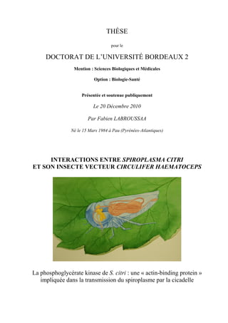 THÈSE
                                   pour le

     DOCTORAT DE L’UNIVERSITÉ BORDEAUX 2
                 Mention : Sciences Biologiques et Médicales

                           Option : Biologie-Santé


                    Présentée et soutenue publiquement

                          Le 20 Décembre 2010

                       Par Fabien LABROUSSAA

               Né le 15 Mars 1984 à Pau (Pyrénées-Atlantiques)




     INTERACTIONS ENTRE SPIROPLASMA CITRI
ET SON INSECTE VECTEUR CIRCULIFER HAEMATOCEPS




La phosphoglycérate kinase de S. citri : une « actin-binding protein »
   impliquée dans la transmission du spiroplasme par la cicadelle
 