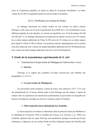 Matériels et méthodes


cours de l’expérience parallèle, est ajouté au début de la période d’incubation. Le même
volume de Tris HCl est également ajouté à la fin du temps d’incubation.


                     10.2.2. Purification sur colonne de Nickel

       Le mélange réactionnel est ensuite incubé sur une colonne de nickel, colonne
identique à celle ayant servi lors de la purification de la PGK de S. citri recombinante ou des
différents peptides de cette dernière. La colonne est équilibrée avec 10 ml de tampon 50 mM
Tris HCl pH 7,4. Le mélange réactionnel est incubé puis la colonne est lavée avec 10 volumes
de ce même tampon additionné de Triton X-100 suivis de 10 volumes de ce même tampon
pour lequel le Triton X-100 est absent. Les protéines retenues spécifiquement sur la colonne
sont alors éluées par trois volumes de tampon phosphate additionné de 0,25 M Imidazole puis
trois volumes du même tampon additionné cette fois ci de 0,5 M Imidazole.


V. Etude de la transmission expérimentale de S. citri
        1. Transmission à la pervenche de Madagascar Catharanthus roseus

            1.1. Insectes

       L'élevage et la capture des cicadelles Circulifer haematoceps sont détaillés aux
paragraphes I.3.1 et I.3.2.


            1.2. Les pervenches de Madagascar

       Les pervenches saines produites, à partir de semis, sont cultivées à 25°C ± 2°C sous
une photopériode de 16 heures obtenue grâce à des éclairages par des lampes à vapeur de
sodium. Pour les expériences de transmission expérimentale, les pervenches sur lesquelles les
insectes sont déposés sont âgées de environ 4 semaines (stade 4-6 feuilles).


            1.3. Micro-injection intra-abdominale des cicadelles

       La micro-injection est réalisée au laboratoire selon le protocole décrit par Markham et
al. (Markham & Townsend, 1979) et modifiée par Foissac et al. (Foissac et al., 1996). Les
cicadelles capturées dans les cages d'élevage sont anesthésiées quelques secondes par du gaz
carbonique, et déposées sur une surface froide (un bloc réfrigérant entouré de Parafilm) afin
                                             135
 