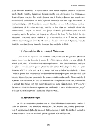 Matériels et méthodes


de les maintenir endormies. Les cicadelles sont triées à l'aide de pinces souples et de pinceaux
fins. Seules les femelles, plus grosses et plus résistantes sont sélectionnées pour être injectées.
Des aiguilles de verre très fines, confectionnées à partir de pipette Pasteur, sont remplies avec
une culture de spiroplasmes. La micro-injection est réalisée sous une loupe binoculaire. Les
insectes sont piqués latéralement entre les deux dernières sternites abdominales de manière à
n'endommager ni la chaîne nerveuse ventrale, ni les tubes de Malpighi, situés plus
antérieurement. L'aiguille est reliée à une pompe soufflante par l'intermédiaire d'un tube
connecteur percé. La culture est injectée en obturant du doigt l'orifice latéral du tube
connecteur. Le volume injecté (environ 0,1 µl d’une culture à 108 à 109 UFC/ml) doit être
suffisant pour qu'un gonflement de l'abdomen de l'insecte soit observé. Après injection, les
cicadelles sont déposées sur du papier absorbant dans une boîte de Pétri.


            1.4. Transmission à la pervenche de Madagascar

       Après avoir été injectées, les cicadelles sont placées sur des giroflées (Matthiola
incana) recouvertes de bonnettes à raison de 10 insectes par plante pour une période de
latence de 10 jours. Les cicadelles sont ensuite prélevées à l’aide d’un aspirateur à bouche et
encagées à nouveau sur de jeunes plants de pervenches de Madagascar dans une pièce
climatisée (30°C ± 2°C), réservée à cet usage, pour une période d'une durée de 15 jours.
Toutes les plantes sont recouvertes d'une bonnette individuelle protégeant ainsi l'essai de toute
intrusion d'autres insectes. La mortalité des insectes est déterminée tous les 3 jours. A la fin de
la période de transmission, les insectes sont éliminés et les plantes traitées avec un insecticide
de contact. Les plantes sont alors transférées dans une autre pièce climatisée (30°C ± 2°C),
réservée aux plantes infectées et dépourvue de tout insecte, et y sont ainsi maintenues jusqu’à
la fin de l’expérience (environ 12 semaines après injection).


            1.5. Symptomatologie

       Le développement des symptômes sur pervenches issues des transmissions est observé
toutes les semaines. Une pervenche infectée par GII3 présente une jaunisse généralisée 5
voire 6 semaines après la fin de la période de transmission et arrête de grandir. Il s’ensuit un
flétrissement létal environ 4 semaines après l’apparition de ces symptômes.




                                               136
 