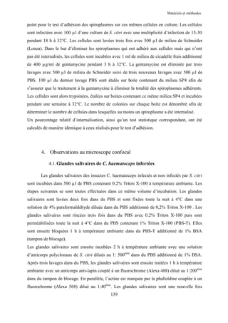 Matériels et méthodes


point pour le test d’adhésion des spiroplasmes sur ces mêmes cellules en culture. Les cellules
sont infectées avec 100 µl d’une culture de S. citri avec une multiplicité d’infection de 15-30
pendant 18 h à 32°C. Les cellules sont lavées trois fois avec 500 µl de milieu de Schneider
(Lonza). Dans le but d’éliminer les spiroplasmes qui ont adhéré aux cellules mais qui n’ont
pas été internalisés, les cellules sont incubées avec 1 ml de milieu de cicadelle frais additionné
de 400 µg/ml de gentamycine pendant 3 h à 32°C. La gentamycine est éliminée par trois
lavages avec 500 µl de milieu de Schneider suivi de trois nouveaux lavages avec 500 µl de
PBS. 100 µl du dernier lavage PBS sont étalés sur boite contenant du milieu SP4 afin de
s’assurer que le traitement à la gentamycine à éliminer la totalité des spiroplasmes adhérents.
Les cellules sont alors trypsinées, étalées sur boites contenant ce même milieu SP4 et incubées
pendant une semaine à 32°C. Le nombre de colonies sur chaque boite est dénombré afin de
déterminer le nombre de cellules dans lesquelles au moins un spiroplasme a été internalisé.
Un pourcentage relatif d’internalisation, ainsi qu’un test statistique correspondant, ont été
calculés de manière identique à ceux réalisés pour le test d’adhésion.




       4. Observations au microscope confocal

            4.1. Glandes salivaires de C. haematoceps infectées

       Les glandes salivaires des insectes C. haematoceps infectés et non infectés par S. citri
sont incubées dans 500 µl de PBS contenant 0.2% Triton X-100 à température ambiante. Les
étapes suivantes se sont toutes effectuées dans ce même volume d’incubation. Les glandes
salivaires sont lavées deux fois dans du PBS et sont fixées toute la nuit à 4°C dans une
solution de 4% paraformaldéhyde diluée dans du PBS additionné de 0,2% Triton X-100 . Les
glandes salivaires sont rincées trois fois dans du PBS avec 0.2% Triton X-100 puis sont
perméabilisées toute la nuit à 4°C dans du PBS contenant 1% Triton X-100 (PBS-T). Elles
sont ensuite bloquées 1 h à température ambiante dans du PBS-T additionné de 1% BSA
(tampon de blocage).
Les glandes salivaires sont ensuite incubées 2 h à température ambiante avec une solution
d’anticorps polyclonaux de S. citri dilués au 1: 500ème dans du PBS additionné de 1% BSA.
Après trois lavages dans du PBS, les glandes salivaires sont ensuite traitées 1 h à température
ambiante avec un anticorps anti-lapin couplé à un fluorochrome (Alexa 488) dilué au 1:200ème
dans du tampon de blocage. En parallèle, l’actine est marquée par la phalloïdine couplée à un
fluorochrome (Alexa 568) dilué au 1:40ème. Les glandes salivaires sont une nouvelle fois
                                              139
 