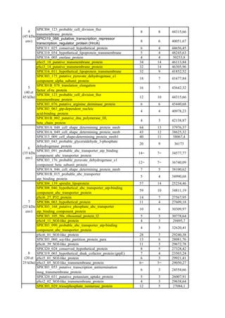 SPICI04_123_probable_cell_division_ftsz
   4                                                             8    8    44315,66
        transmembrane_protein
(45 kDa
        SPICI19_066_putative_transcription_repressor
  env)                                                           8    6    40051,67
        transcription_regulator_protein (HrcA)
        SPICI11_025_conserved_hypothetical_protein              6      4   44656,45
        SPICI10_054_hypothetical_lipoprotein_transmembrane      5     4    48245,63
        SPICI16_005_enolase_protein                              4     4    50253,8
        pSci5_18_putative_transmembrane_protein                 34    14   46113,84
        pSci3_14_putative_transmembrane_protein                 32    14   46305,96
        SPICI16_011_hypothetical_lipoprotein_transmembrane      32     9   41852,52
        SPICI03_175_putative_pyruvate_dehydrogenase_e1
                                                                18    7    41677,84
        component_alpha_subunit_protein
        SPICI01B_078_translation_elongation
   5                                                            16    7    43642,32
        factor_ef-tu_protein
 (40 et
        SPICI04_123_probable_cell_division_ftsz
45 kDa)                                                         12    10   44315,66
        transmembrane_protein
        SPICI03_076_putative_arginine_deiminase_protein          6    6    45440,68
        SPICI03_063_gtp-dependent_nucleic
                                                                 4    4    40978,23
        acid-binding_protein
        SPICI01B_002_putative_dna_polymerase_III,
                                                                 4    3    42138,87
        beta_chain_protein
        SPICI01A_048_cell_shape_determining_protein_mreb        64    13   37976,37
        SPICI01A_049_cell_shape_determining_protein_mreb        43    12   38625,32
        SPICI13_009_cell_shape-determining_protein_mreb1        40    11    38067,4
        SPICI03_043_probable_glyceraldehyde_3-phosphate
                                                                20    9     36173
        dehydrogenase_protein
   6
        SPICI03_091_probable_abc_transporter_atp_binding
(35 kDa                                                         14=   7=   34577,77
        component_abc_transporter_protein
  env)
        SPICI03_176_probable_pyruvate_dehydrogenase_e1
                                                                12=   7=   36740,09
        component_beta_subunit_protein
        SPICI01A_046_cell_shape_determining_protein_mreb         7    5    38100,62
        SPICI01B_015_probable_abc_transporter
                                                                 5    4    34990,68
        atp_binding_protein
        SPICI04_139_spiralin_lipoprotein                        57    14   25234,46
        SPICI08_046_hypothetical_abc_transporter_atp-binding
                                                                59    10   34811,19
        component_abc_transporter_protein
        pSci6_27_P32_protein                                    14    7    27567,95
   7    SPICI06_063_hypothetical_protein                        11    4    27609,18
(25 kDa SPICI03_168_putative_phosphate_abc_transporter
                                                                10    6    30309,97
  env) atp_binding_component_protein
        SPICI03_105_50s_ribosomal_protein_l2                     5    3    30778,64
        pSci4_11_SOJ-like_protein                                4    3     29495,7
        SPICI03_090_probable_abc_transporter_atp-binding
                                                                 4    3    32620,41
        component_abc_transporter_protein
        pSci6_01_SOJ-like_protein                               28     7   29240,38
        SPICI03_060_soj-like_partition_protein_para             13     6   28081,76
        pSci6_39_SOJ-like_protein                               11     3   29672,78
        SPICI20_028_conserved_hypothetical_protein               8     5   27328,42
   8    SPICI19_065_hypothetical_dnak_cofactor_protein (grpE)    7     4   23503,24
 (20 et pSci5_01_SOJ-like_protein                                6     3   29921,41
25 kDa) pSci3_05_SOJ-like_transmembrane_protein                 6=    5=   29050,27
        SPICI03_055_putative_transcription_antitermination
                                                                 6    3    24554,66
        nusg_transmembrane_protein
        SPICI20_031_putative_potassium_uptake_protein            5    3    26007,91
        pSci2_02_SOJ-like_transmembrane_protein                  4    3    29638,64
        SPICI03_029_triosephosphate_isomerase_protein           12    5    27084,1
 