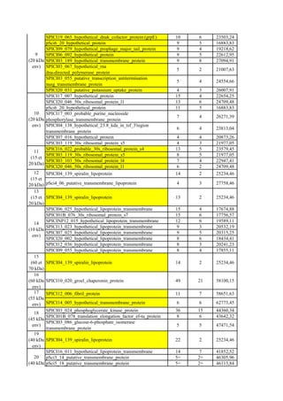 SPICI19_065_hypothetical_dnak_cofactor_protein (grpE)    10   6    23503,24
          pSci6_20_hypothetical_protein                             9   5    16883,83
          SPICI09_079_hypothetical_prophage_major_tail_protein      9   4    19218,62
   9      SPICI06_092_hypothetical_protein                          9   5    22612,95
(20 kDa   SPICI03_189_hypothetical_transmembrane_protein            9   8    27094,91
  env)    SPICI03_067_hypothetical_rna
                                                                   5    2    21007,63
          dna-directed_polymerase_protein
          SPICI03_055_putative_transcription_antitermination
                                                                   5    4    24554,66
          nusg_transmembrane_protein
          SPICI20_031_putative_potassium_uptake_protein             4   3    26007,91
          SPICI17_007_hypothetical_protein                         15   4    22654,25
          SPICI20_046_50s_ribosomal_protein_l1                     13   6    24709,48
          pSci6_20_hypothetical_protein                            11   5    16883,83
   10     SPICI17_003_probable_purine_nucleoside
                                                                   7    4    26271,39
(20 kDa   phosphorylase_transmembrane_protein
  env)    SPICI04_138_hypothetical_23.8_kda_in_tsf_3'region
                                                                   6    4    23813,04
          transmembrane_protein
          SPICI07_016_hypothetical_protein                          4   4    20873,26
          SPICI03_119_30s_ribosomal_protein_s5                      4   3    21977,05
          SPICI16_022_probable_30s_ribosomal_protein_s4            13   5    23579,45
   11
          SPICI03_119_30s_ribosomal_protein_s5                      8   5    21977,05
 (15 et
          SPICI03_103_50s_ribosomal_protein_l4                      7   4    22947,41
20 kDa)
          SPICI20_046_50s_ribosomal_protein_l1                      6   2    24709,48
   12     SPICI04_139_spiralin_lipoprotein                         14   2    25234,46
 (15 et
20 kDa) pSci4_06_putative_transmembrane_lipoprotein                4    3    27758,46
   13
 (15 et SPICI04_139_spiralin_lipoprotein                           13   2    25234,46
20 kDa)
        SPICI06_025_hypothetical_lipoprotein_transmembrane         15   4    17674,88
        SPICI01B_076_30s_ribosomal_protein_s7                      15   6    17756,57
        SPICINP12_015_hypothetical_lipoprotein_transmembrane       12   6    19589,11
   14
        SPICI13_023_hypothetical_lipoprotein_transmembrane         9    3    20532,19
(10 kDa
        SPICI07_025_hypothetical_lipoprotein_transmembrane         9    5    20315,25
  env)
        SPICI20_002_hypothetical_lipoprotein_transmembrane         8    6    18434,41
        SPICI12_036_hypothetical_lipoprotein_transmembrane         8    3    20241,23
        SPICI09_055_hypothetical_lipoprotein_transmembrane         8    4    17855,11
   15
 (60 et SPICI04_139_spiralin_lipoprotein                           14   2    25234,46
70 kDa)
   16
(60 kDa SPICI10_020_groel_chaperonin_protein                       49   21   58100,15
  env)
   17   SPICI12_006_fibril_protein                                 11   7    58651,63
(55 kDa
  env) SPICI14_005_hypothetical_transmembrane_protein              6    6    62773,45
        SPICI03_024_phosphoglycerate_kinase_protein                36   15   44360,34
   18
        SPICI01B_078_translation_elongation_factor_ef-tu_protein    8    6   43642,32
(45 kDa
        SPICI03_086_glucose-6-phosphate_isomerase
  env)                                                             5    5    47471,54
        transmembrane_protein
   19
(40 kDa SPICI04_139_spiralin_lipoprotein                           22   2    25234,46
  env)
        SPICI16_011_hypothetical_lipoprotein_transmembrane         14    7   41852,52
   20   pSci3_14_putative_transmembrane_protein                    5=   2=   46305,96
(40 kDa pSci5_18_putative_transmembrane_protein                    5=   2=   46113,84
 