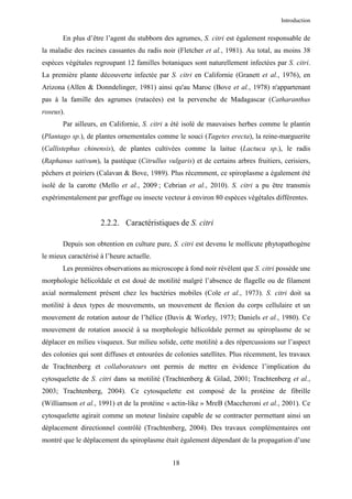 Introduction


       En plus d’être l’agent du stubborn des agrumes, S. citri est également responsable de
la maladie des racines cassantes du radis noir (Fletcher et al., 1981). Au total, au moins 38
espèces végétales regroupant 12 familles botaniques sont naturellement infectées par S. citri.
La première plante découverte infectée par S. citri en Californie (Granett et al., 1976), en
Arizona (Allen & Donndelinger, 1981) ainsi qu'au Maroc (Bove et al., 1978) n'appartenant
pas à la famille des agrumes (rutacées) est la pervenche de Madagascar (Catharanthus
roseus).
       Par ailleurs, en Californie, S. citri a été isolé de mauvaises herbes comme le plantin
(Plantago sp.), de plantes ornementales comme le souci (Tagetes erecta), la reine-marguerite
(Callistephus chinensis), de plantes cultivées comme la laitue (Lactuca sp.), le radis
(Raphanus sativum), la pastèque (Citrullus vulgaris) et de certains arbres fruitiers, cerisiers,
pêchers et poiriers (Calavan & Bove, 1989). Plus récemment, ce spiroplasme a également été
isolé de la carotte (Mello et al., 2009 ; Cebrian et al., 2010). S. citri a pu être transmis
expérimentalement par greffage ou insecte vecteur à environ 80 espèces végétales différentes.


                     2.2.2. Caractéristiques de S. citri

       Depuis son obtention en culture pure, S. citri est devenu le mollicute phytopathogène
le mieux caractérisé à l’heure actuelle.
       Les premières observations au microscope à fond noir révèlent que S. citri possède une
morphologie hélicoïdale et est doué de motilité malgré l’absence de flagelle ou de filament
axial normalement présent chez les bactéries mobiles (Cole et al., 1973). S. citri doit sa
motilité à deux types de mouvements, un mouvement de flexion du corps cellulaire et un
mouvement de rotation autour de l’hélice (Davis & Worley, 1973; Daniels et al., 1980). Ce
mouvement de rotation associé à sa morphologie hélicoïdale permet au spiroplasme de se
déplacer en milieu visqueux. Sur milieu solide, cette motilité a des répercussions sur l’aspect
des colonies qui sont diffuses et entourées de colonies satellites. Plus récemment, les travaux
de Trachtenberg et collaborateurs ont permis de mettre en évidence l’implication du
cytosquelette de S. citri dans sa motilité (Trachtenberg & Gilad, 2001; Trachtenberg et al.,
2003; Trachtenberg, 2004). Ce cytosquelette est composé de la protéine de fibrille
(Williamson et al., 1991) et de la protéine « actin-like » MreB (Maccheroni et al., 2001). Ce
cytosquelette agirait comme un moteur linéaire capable de se contracter permettant ainsi un
déplacement directionnel contrôlé (Trachtenberg, 2004). Des travaux complémentaires ont
montré que le déplacement du spiroplasme était également dépendant de la propagation d’une


                                              18
 