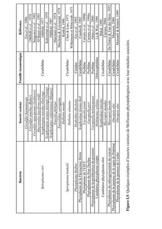 Bactérie                                   Insecte vecteur              Famille taxonomique             Référence
                                                             Circulifer haematoceps                                         Fos et al. , 1986
                                                           Circulifer tenellus (Baker)                                   Oldfield et al. , 1976
                                                        Circulifer opacipennis (Lethierry)                              Sengonca et al. , 1991
                                                          Macrosteles fascifrons (stål)                                  O’Hayer et al ., 1983
                Spiroplasma citri                        Scaphytopius nitridus (DeLong)          Cicadellidae                Oldfield, 1977
                                                      Scaphytopius acutus delongii (Young)                              Kaloostian et al. , 1979
                                                      Scaphytopius coliforniensis (Hepner)                                   Oldfield, 1987
                                                                 Euscelis plebejus                                       Marckam et al ., 1974
                                                             Euscelidius variegatus                                 Marckam & Townsend, 1979
                                                                 Dalbulus maidis                                             Kunkel, 1946
              Spiroplasma kunkelii                                                               Cicadellidae             Chen & Liao, 1975
                                                               Dalbulus elimatus
                                                                                                                    Williamson et Whitcomb, 1975
             Phytoplasma Stolbur                              Hyalesthes obsoletus                 Cixiidae                 Fos et al. , 1992
     Phytoplasme de la Flavescence Dorée                    Scaphoideus titanus Ball            Cicadellidae                Caudwell, 1983
            Phytoplasme de l’ESFY                               Cacopsylla pruni                  Psyllidae              Carraro et al., 1998b
         Phytoplasme du Pear Decline                            Cacopsylla pyri                   Psyllidae              Carraro et al ., 1998a
   Phytoplasme de la proliferation du pommier               Cacopsylla melanoneura                Psyllidae                Alma et al ., 2000
        Candidatus phytoplasma ziziphi                        Hishimonus sellatus              Deltocephalidae             La & Woo, 1980
                                                              Scaphoideus luteolus                                            Baker, 1949
          Candidatus phytoplasma ulmi                                                            Cicadellidae
                                                               Macropsis mendax                                              Carraro, 2004
   Phytoplasme du rabougrissement du roncier                   Macropsis fuscula                 Cicadellidae      De Fluiter & Van der Meer, 1953
Phytoplasme de la jaunisse de la vigne du Palatinat              Oncopsis alni                   Cicadellidae               Maixnert, 2000
      Phytoplasme de la jaunisse de l’aulne                      Oncopsis alni                   Cicadellidae         Maixnert & Reinert, 1999


Figure I.5: Quelques exemples d’insectes vecteurs de Mollicutes phytopathogènes avec leur maladies associées.
 