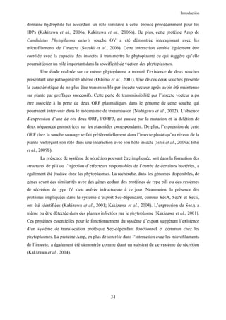 Introduction


domaine hydrophile lui accordant un rôle similaire à celui énoncé précédemment pour les
IDPs (Kakizawa et al., 2006a; Kakizawa et al., 2006b). De plus, cette protéine Amp de
Candidatus Phytoplasma asteris souche OY a été démontrée interagissant avec les
microfilaments de l’insecte (Suzuki et al., 2006). Cette interaction semble également être
corrélée avec la capacité des insectes à transmettre le phytoplasme ce qui suggère qu’elle
pourrait jouer un rôle important dans la spécificité de vection des phytoplasmes.
       Une étude réalisée sur ce même phytoplasme a montré l’existence de deux souches
présentant une pathogénicité altérée (Oshima et al., 2001). Une de ces deux souches présente
la caractéristique de ne plus être transmissible par insecte vecteur après avoir été maintenue
sur plante par greffages successifs. Cette perte de transmissibilité par l’insecte vecteur a pu
être associée à la perte de deux ORF plasmidiques dans le génome de cette souche qui
pourraient intervenir dans le mécanisme de transmission (Nishigawa et al., 2002). L’absence
d’expression d’une de ces deux ORF, l’ORF3, est causée par la mutation et la délétion de
deux séquences promotrices sur les plasmides correspondants. De plus, l’expression de cette
ORF chez la souche sauvage se fait préférentiellement dans l’insecte plutôt qu’au niveau de la
plante renforçant son rôle dans une interaction avec son hôte insecte (Ishii et al., 2009a; Ishii
et al., 2009b).
       La présence de système de sécrétion pouvant être impliquée, soit dans la formation des
structures de pili ou l’injection d’effecteurs responsables de l’entrée de certaines bactéries, a
également été étudiée chez les phytoplasmes. La recherche, dans les génomes disponibles, de
gènes ayant des similarités avec des gènes codant des protéines de type pili ou des systèmes
de sécrétion de type IV s’est avérée infructueuse à ce jour. Néanmoins, la présence des
protéines impliquées dans le système d’export Sec-dépendant, comme SecA, SecY et SecE,
ont été identifiées (Kakizawa et al., 2001; Kakizawa et al., 2004). L’expression de SecA a
même pu être détectée dans des plantes infectées par le phytoplasme (Kakizawa et al., 2001).
Ces protéines essentielles pour le fonctionnement du système d’export suggèrent l’existence
d’un système de translocation protéique Sec-dépendant fonctionnel et commun chez les
phytoplasmes. La protéine Amp, en plus de son rôle dans l’interaction avec les microfilaments
de l’insecte, a également été démontrée comme étant un substrat de ce système de sécrétion
(Kakizawa et al., 2004).




                                               34
 