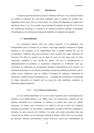 Introduction


                             2.1.3.3.      Spiroplasmes

       L’étude du protéome total de la souche de référence GII3 de S. citri a permis de mettre
en évidence la présence des sous-unités impliquées dans le système de sécrétion Sec-
dépendant comme SecA, SecY ou encore SecE. Un système Sec-dépendant est supposé être
fonctionnel chez S. citri. En revanche, aucun système de sécrétion de type III ou IV n’a pu
être identifié par homologie. L’existence d’un système de fonction analogue ne présentant
d’homologie avec les systèmes précédemment identifiés est cependant envisageable.


           2.2. Internalisation

       Les interactions initiales entre une cellule eucaryote et un pathogène sont
indispensables pour la virulence de ce dernier. Cette étape implique uniquement le ligand
bactérien et son récepteur, et est indépendante, dans la grande majorité des cas, du
cytosquelette. L’adhésion peut alors permettre la mise en place des étapes ultérieures de
l’invasion. En effet, les contacts mis en place au cours de cette étape entre les deux
organismes conduisent à une cascade de signaux tels que la phosphorylation et
déphosphorylation de protéines, le recrutement d’adaptateurs et d’effecteurs ainsi que
l’activation de composants du cytosquelette induisant l’internalisation de la bactérie. La
membrane plasmique est une structure dynamique assurant de nombreuses fonctions pour la
cellule comme l’adhérence entre les cellules, le transport de molécules, l’absorption de
nutriments, la défense contre les pathogènes, etc…. La plupart de ces fonctions, et notamment
les étapes nécessitant un transport actif au niveau de cette membrane, requièrent un
phénomène appelé endocytose.


                    2.2.1. Voie clathrine-dépendante

       La voie clathrine-dépendante est la voie la plus importante pour l’internalisation des
protéines et des lipides (Brodin et al., 2000). Cette voie d’endocytose, contrôlée par une
protéine structurelle de la membrane, la clathrine, se produit dans toutes les cellules
eucaryotes. Le contact entre la bactérie et la cellule se fait par le biais d’un récepteur
spécifique qui possède, sur son domaine cytoplasmique, un signal d’induction impliquant la
formation de puits recouverts de clathrine. Ces puits sont ensuite internalisés dans une
vésicule qui est libérée vers les endosomes (Schmid & Damke, 1995). Cette voie est utilisée
par plusieurs bactéries intracellulaires comme Ricketssia conorii par l’intermédiaire du

                                             35
 