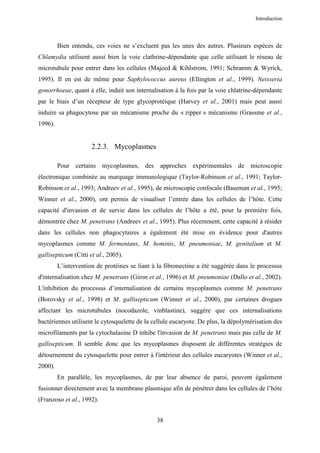 Introduction




         Bien entendu, ces voies ne s’excluent pas les unes des autres. Plusieurs espèces de
Chlamydia utilisent aussi bien la voie clathrine-dépendante que celle utilisant le réseau de
microtubule pour entrer dans les cellules (Majeed & Kihlstrom, 1991; Schramm & Wyrick,
1995). Il en est de même pour Saphylococcus aureus (Ellington et al., 1999). Neisseria
gonorrhoeae, quant à elle, induit son internalisation à la fois par la voie chlatrine-dépendante
par le biais d’un récepteur de type glycoprotéique (Harvey et al., 2001) mais peut aussi
induire sa phagocytose par un mécanisme proche du « zipper » mécanisme (Grassme et al.,
1996).


                      2.2.3. Mycoplasmes

         Pour certains mycoplasmes, des approches expérimentales de microscopie
électronique combinée au marquage immunologique (Taylor-Robinson et al., 1991; Taylor-
Robinson et al., 1993; Andreev et al., 1995), de microscopie confocale (Baseman et al., 1995;
Winner et al., 2000), ont permis de visualiser l’entrée dans les cellules de l’hôte. Cette
capacité d'invasion et de survie dans les cellules de l’hôte a été, pour la première fois,
démontrée chez M. penetrans (Andreev et al., 1995). Plus récemment, cette capacité à résider
dans les cellules non phagocytaires a également été mise en évidence pour d'autres
mycoplasmes comme M. fermentans, M. hominis, M. pneumoniae, M. genitalium et M.
gallisepticum (Citti et al., 2005).
         L’intervention de protéines se liant à la fibronectine a été suggérée dans le processus
d'internalisation chez M. penetrans (Giron et al., 1996) et M. pneumoniae (Dallo et al., 2002).
L'inhibition du processus d’internalisation de certains mycoplasmes comme M. penetrans
(Borovsky et al., 1998) et M. gallisepticum (Winner et al., 2000), par certaines drogues
affectant les microtubules (nocodazole, vinblastine), suggère que ces internalisations
bactériennes utilisent le cytosquelette de la cellule eucaryote. De plus, la dépolymérisation des
microfilaments par la cytochalasine D inhibe l'invasion de M. penetrans mais pas celle de M.
gallisepticum. Il semble donc que les mycoplasmes disposent de différentes stratégies de
détournement du cytosquelette pour entrer à l'intérieur des cellules eucaryotes (Winner et al.,
2000).
         En parallèle, les mycoplasmes, de par leur absence de paroi, peuvent également
fusionner directement avec la membrane plasmique afin de pénétrer dans les cellules de l’hôte
(Franzoso et al., 1992).


                                               38
 