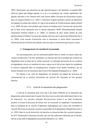 Introduction


2007). Récemment, une interaction de type ligand-récepteur a été identifiée. Le peptide SM1
(Salivary gland and Midgut peptide 1) se lie à la membrane des cellules épithéliales des
glandes salivaires et de l’intestin mais cette liaison inhibe l’invasion de Plasmodium berghei
dans ces organes (Ghosh et al., 2001). L’utilisation d’agents pontants a permis de déterminer
son ligand à la surface des cellules. Il s’agit d’une protéine de 50 kDa nommée sagline (Ghosh
et al., 2009). De plus, cette protéine agit comme un récepteur pour l’invasion des sporozoites
par le biais d’une interaction avec le facteur parasitaire TRAP (Thrombospondin Related
Anonymous Protein) (Ghosh et al., 2009). La mutation de deux acides aminés de cette
protéine permet d’inhiber l’invasion des glandes salivaires par le sporozoite (Matuschewski et
al., 2002). Cette cascade d’interaction reste le mécanisme le mieux décrit concernant le
franchissement de la barrière des glandes salivaires dans la transmission par insecte vecteur.


             2.3. Echappement à la machinerie lysosomiale

        Les microorganismes, qui ont maintenant pénétré dans la cellule, se retrouve dans une
vacuole d’endocytose. Une fois internalisés, ces derniers doivent se protéger des systèmes de
dégradation mise en place par la cellule eucaryote. Le principal mécanisme de ces systèmes
de dégradation, activés en condition de stress, repose sur le fait qu’une région du cytoplasme
se retrouve séquestrée dans un autophagosome, composé d’une double membrane, qui est
ensuite fusionné avec les lysosomes dans le but d’être dégradé (Kirkegaard et al., 2004).
        En réponse à ces voies de dégradation, les bactéries ont adapté des processus de
contournement de ce système immunitaire qui peuvent être regroupés en trois groupes
distincts.


                     2.3.1. Arrêt de la maturation des phagosomes

        L’arrêt de la maturation peut avoir lieu à des stades différents de la maturation des
phagosomes, précocement pour le genre Mycobacterium ou alors plus tardivement dans le cas
de Salmonella. Les vacuoles contenant Mycobacterium restent à un stade d’endosome
primaire et évitent le processus de fusion avec les lysosomes en empêchant l’incorporation,
dans la membrane de la vacuole, d’adenosine triphosphatase qui a pour rôle d’acidifier la
vésicule afin d’activer plusieurs enzymes responsables de la dégradation (Sturgill-Koszycki et
al., 1997). Dans le cas de Salmonella, les bactéries se retrouvent dans des vacuoles atypiques,
les SCV (Salmonella Containing Vacuole), qui sont des endosomes détournés par la bactérie
afin de ne pas subir la dégradation lysosomiale (Brumell et al., 2002).
                                              41
 