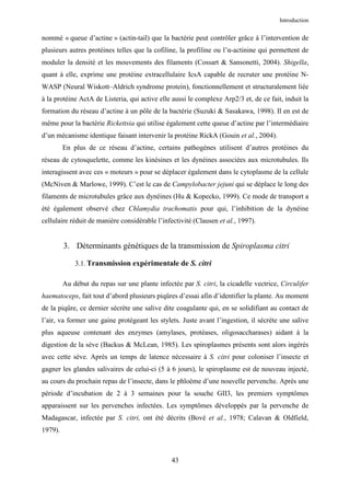 Introduction


nommé « queue d’actine » (actin-tail) que la bactérie peut contrôler grâce à l’intervention de
plusieurs autres protéines telles que la cofiline, la profiline ou l’α-actinine qui permettent de
moduler la densité et les mouvements des filaments (Cossart & Sansonetti, 2004). Shigella,
quant à elle, exprime une protéine extracellulaire IcsA capable de recruter une protéine N-
WASP (Neural Wiskott–Aldrich syndrome protein), fonctionnellement et structuralement liée
à la protéine ActA de Listeria, qui active elle aussi le complexe Arp2/3 et, de ce fait, induit la
formation du réseau d’actine à un pôle de la bactérie (Suzuki & Sasakawa, 1998). Il en est de
même pour la bactérie Rickettsia qui utilise également cette queue d’actine par l’intermédiaire
d’un mécanisme identique faisant intervenir la protéine RickA (Gouin et al., 2004).
         En plus de ce réseau d’actine, certains pathogènes utilisent d’autres protéines du
réseau de cytosquelette, comme les kinésines et les dynéines associées aux microtubules. Ils
interagissent avec ces « moteurs » pour se déplacer également dans le cytoplasme de la cellule
(McNiven & Marlowe, 1999). C’est le cas de Campylobacter jejuni qui se déplace le long des
filaments de microtubules grâce aux dynéines (Hu & Kopecko, 1999). Ce mode de transport a
été également observé chez Chlamydia trachomatis pour qui, l’inhibition de la dynéine
cellulaire réduit de manière considérable l’infectivité (Clausen et al., 1997).


         3. Déterminants génétiques de la transmission de Spiroplasma citri

             3.1. Transmission expérimentale de S. citri

         Au début du repas sur une plante infectée par S. citri, la cicadelle vectrice, Circulifer
haematoceps, fait tout d’abord plusieurs piqûres d’essai afin d’identifier la plante. Au moment
de la piqûre, ce dernier sécrète une salive dite coagulante qui, en se solidifiant au contact de
l’air, va former une gaine protégeant les stylets. Juste avant l’ingestion, il sécrète une salive
plus aqueuse contenant des enzymes (amylases, protéases, oligosaccharases) aidant à la
digestion de la sève (Backus & McLean, 1985). Les spiroplasmes présents sont alors ingérés
avec cette sève. Après un temps de latence nécessaire à S. citri pour coloniser l’insecte et
gagner les glandes salivaires de celui-ci (5 à 6 jours), le spiroplasme est de nouveau injecté,
au cours du prochain repas de l’insecte, dans le phloème d’une nouvelle pervenche. Après une
période d’incubation de 2 à 3 semaines pour la souche GII3, les premiers symptômes
apparaissent sur les pervenches infectées. Les symptômes développés par la pervenche de
Madagascar, infectée par S. citri, ont été décrits (Bové et al., 1978; Calavan & Oldfield,
1979).



                                                43
 